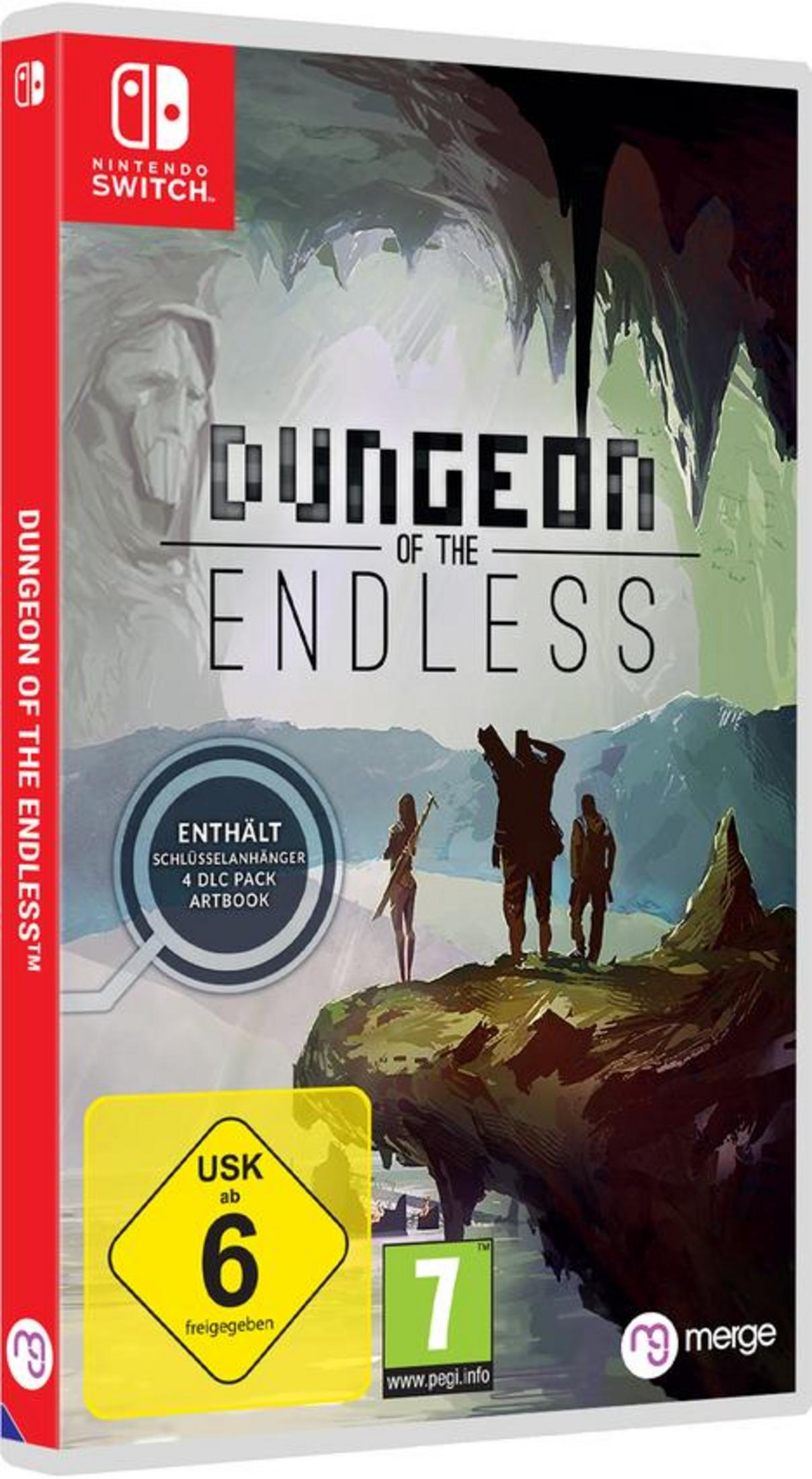 Spielverpackung: Dungeon of the Endless. Figuren von Personen auf einem Absatz mit Hintergrund.