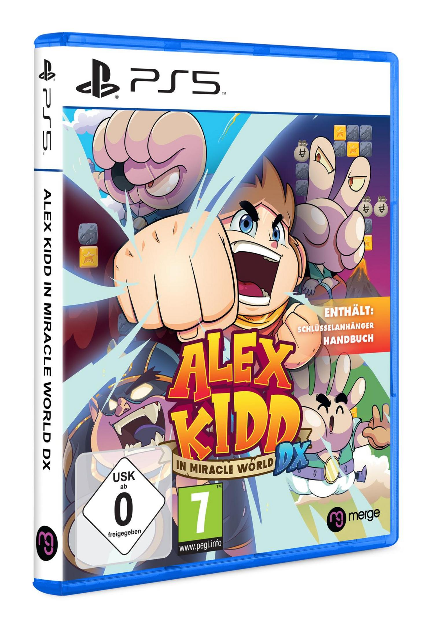 Spielbox-Art für Alex Kidd in Miracle World DX. Die Kunst zeigt einen Jungen, der mit Zeichentrickfiguren boxt.