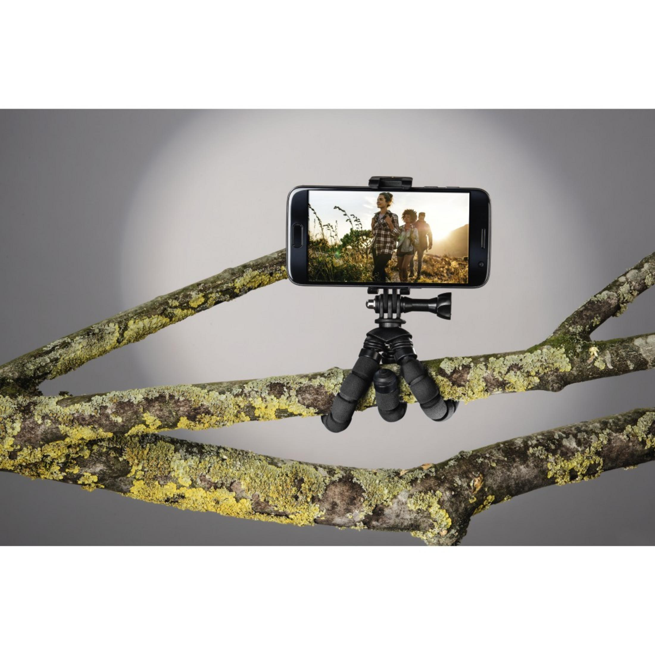 A phone mounted on a mini tripod, on a tree branch. A couple is visible on the phone's screen.