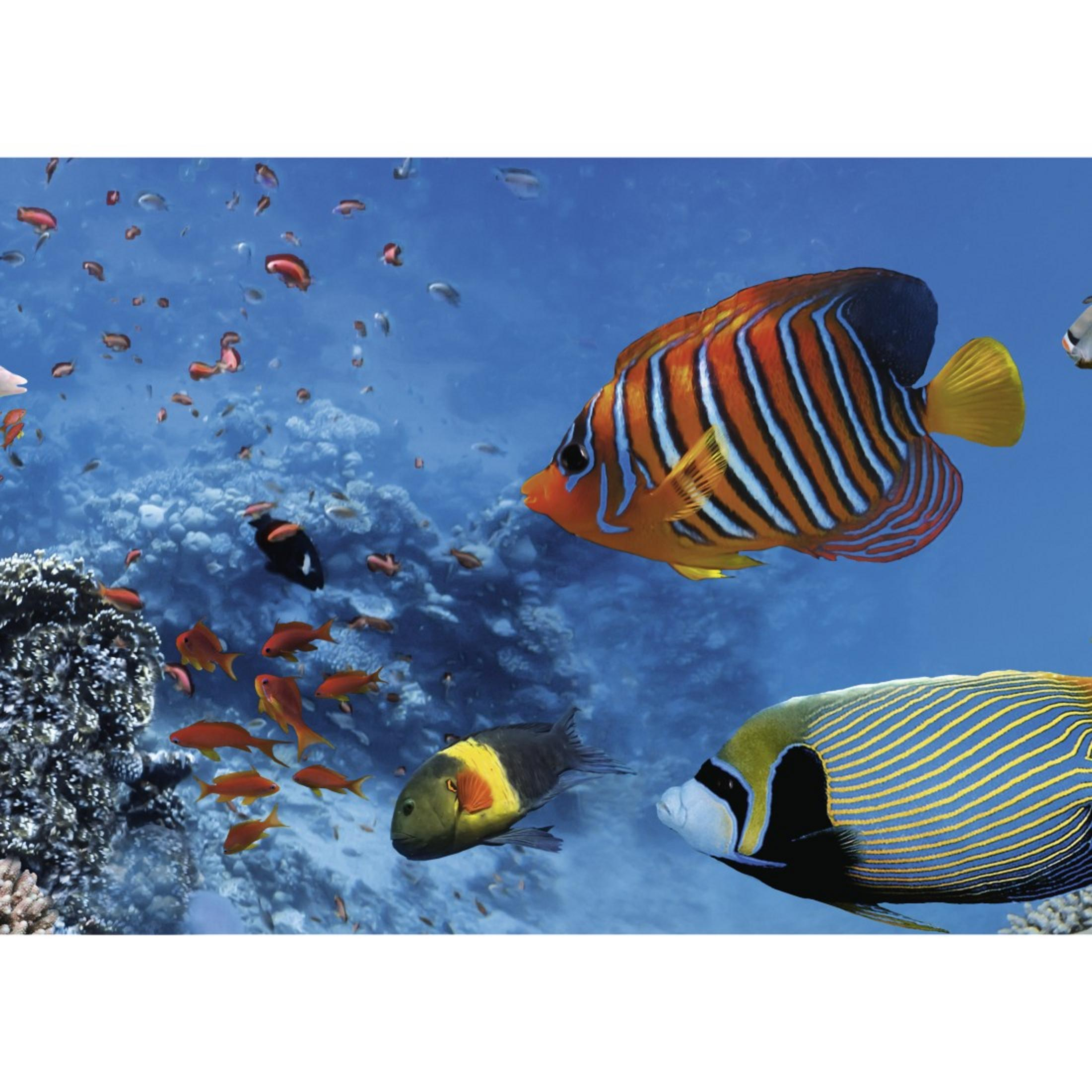 Unterwasserszene mit bunten Fischen: orange-gestreifte, gelb-geschwänzte Fische und Korallenriff.