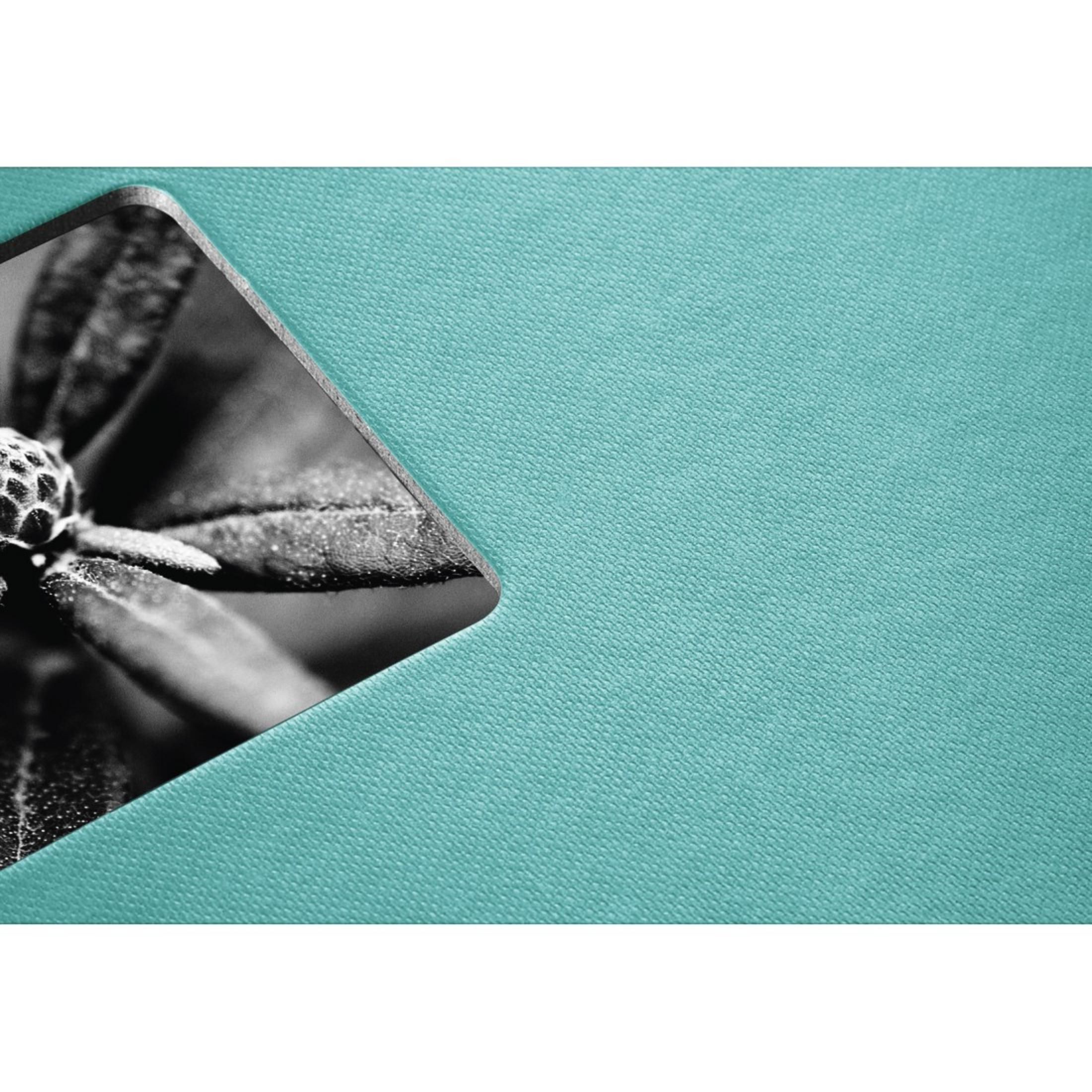 Primer plano de una flor en blanco y negro con fondo verde azulado. Enfoque en detalles florales.