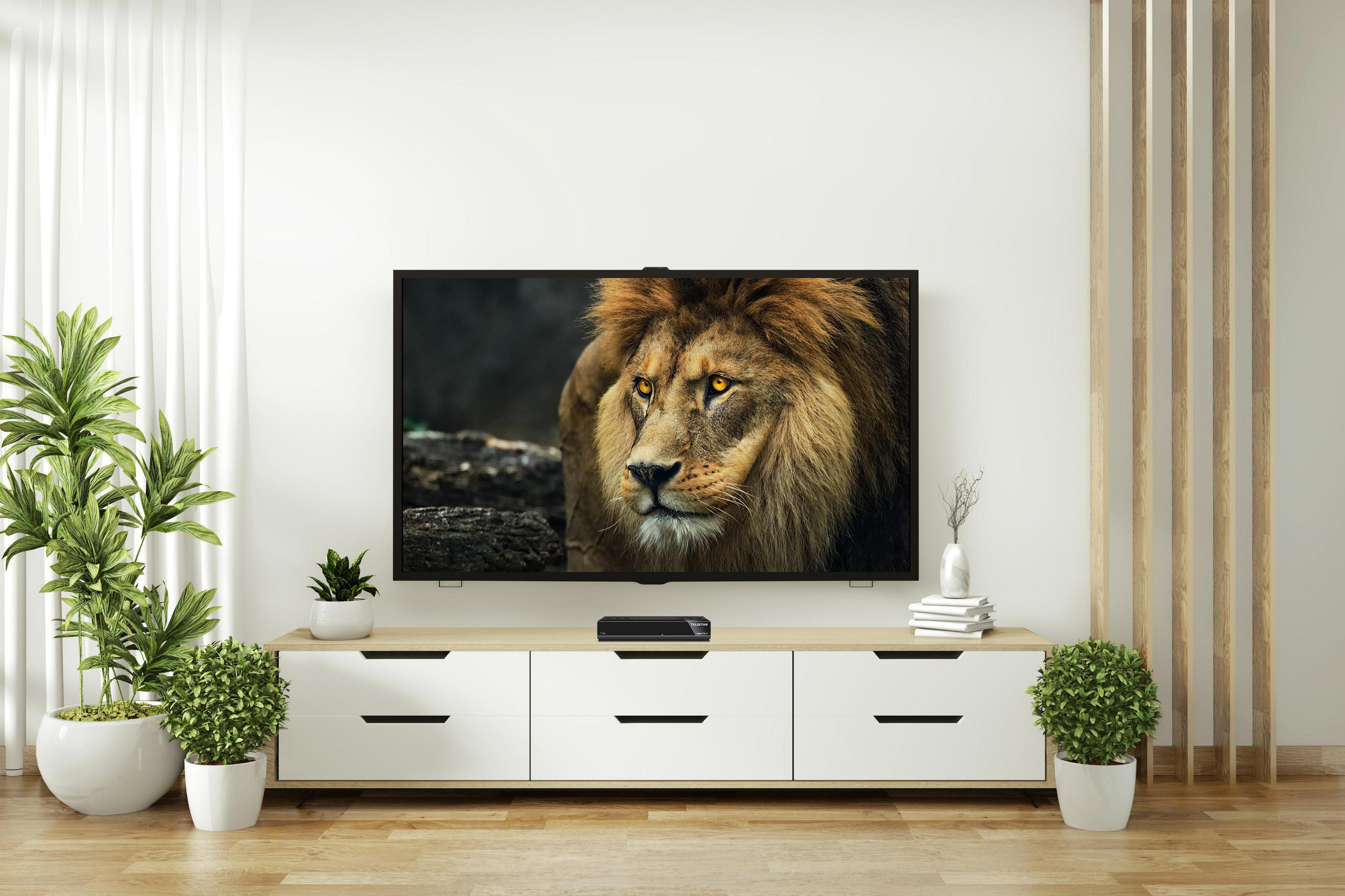Wohnzimmer mit Fernseher, der ein Löwenbild zeigt, weißem Schrank, Pflanzen und Holzboden.