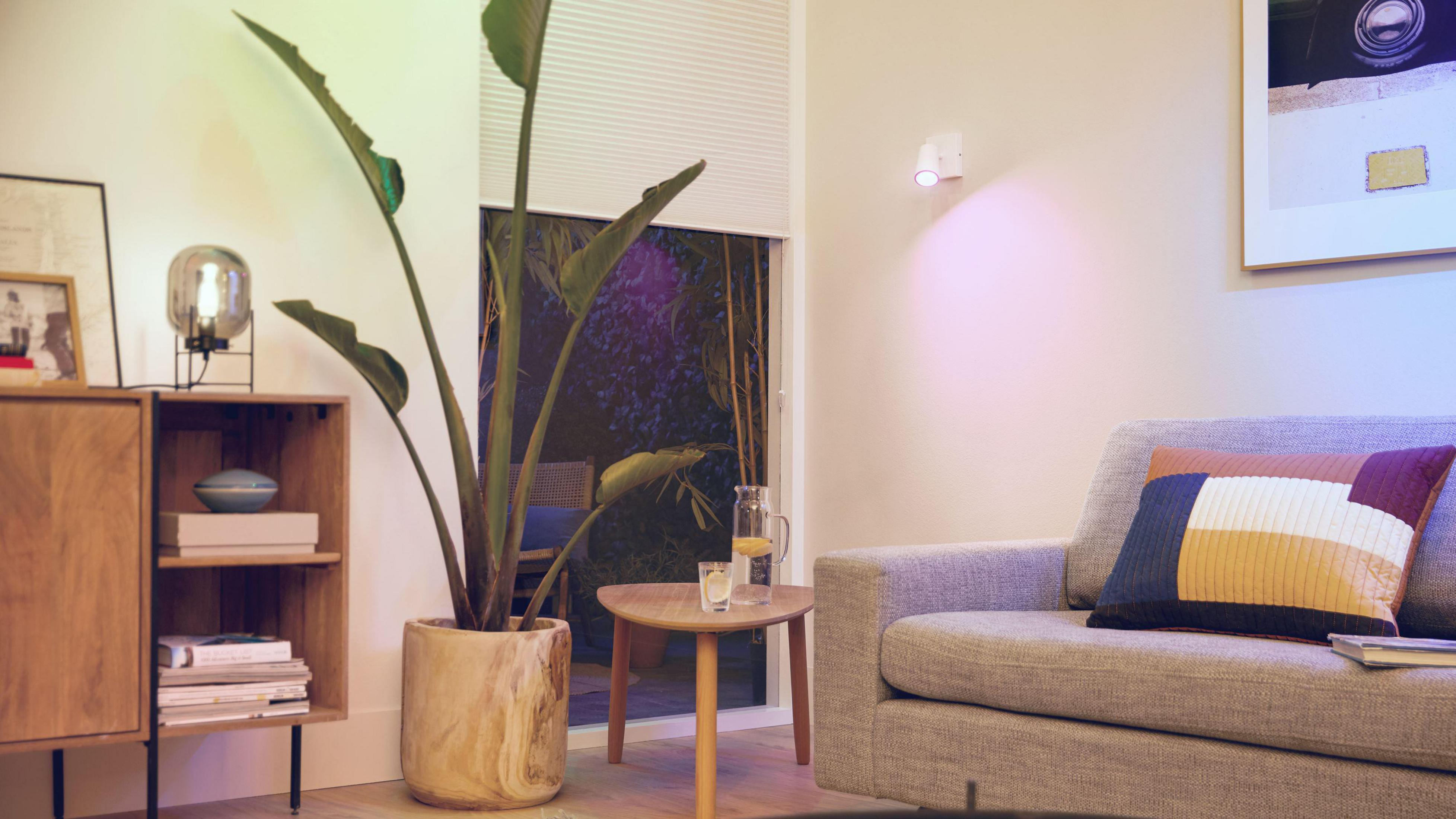 Salón con planta, sofá y mesa auxiliar con lámpara, con vistas al exterior.