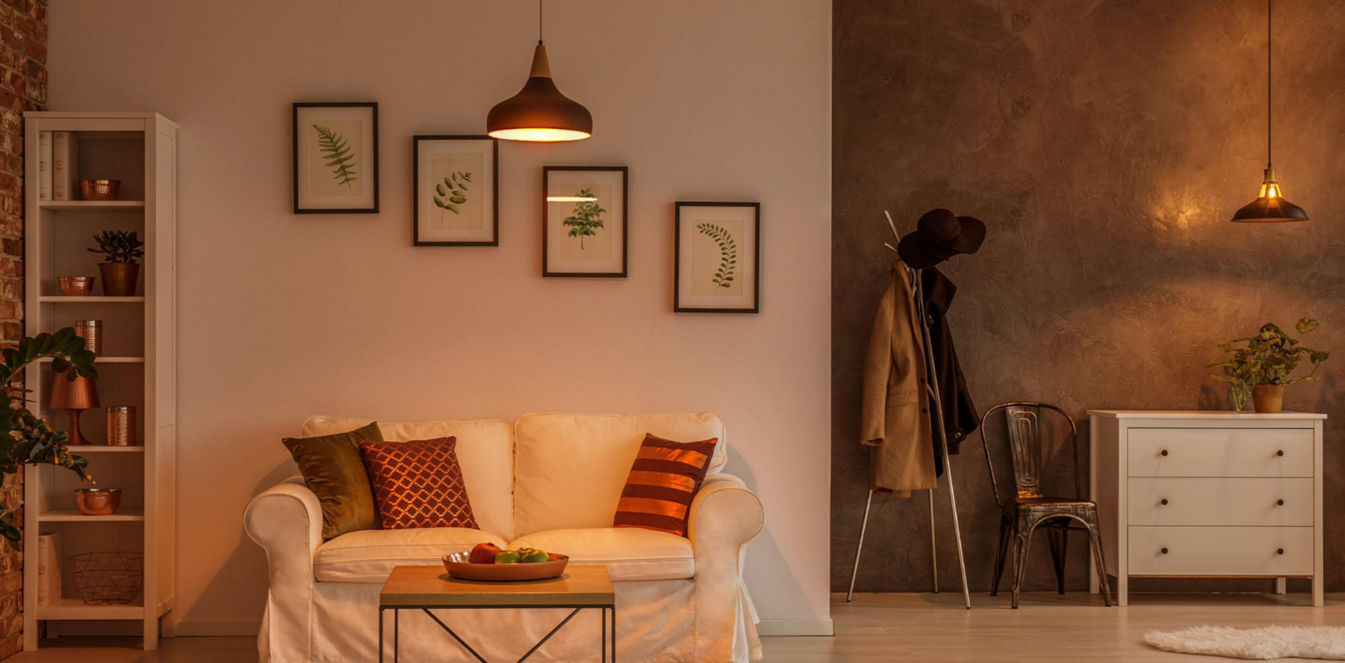 Scena w salonie: biała sofa, oprawione dzieła sztuki, lampy, dywan i ciemnobrązowa ściana akcentowa.