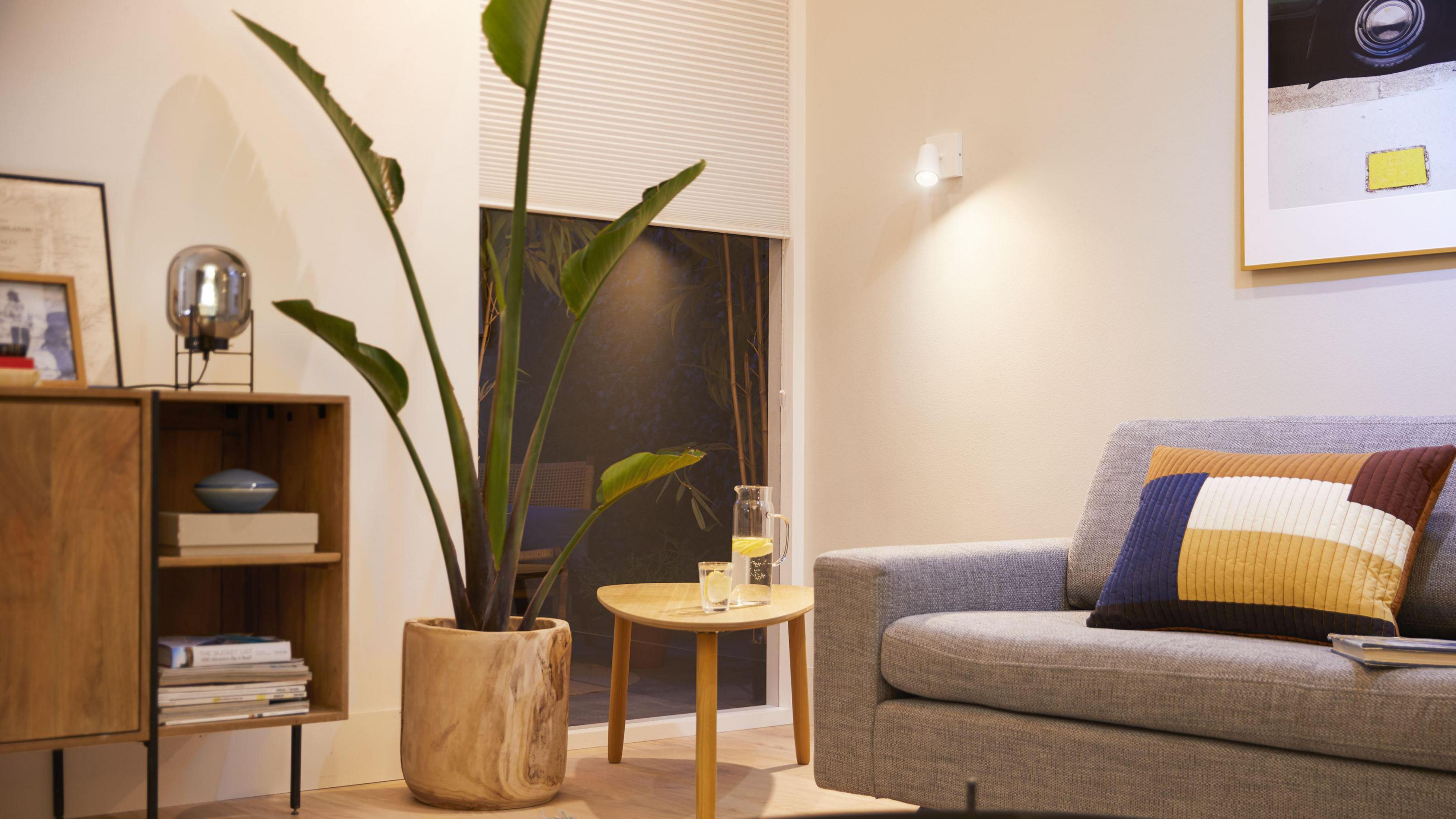 Salon z rośliną, sofą, stolikiem i kinkietem. W tle widać okno.