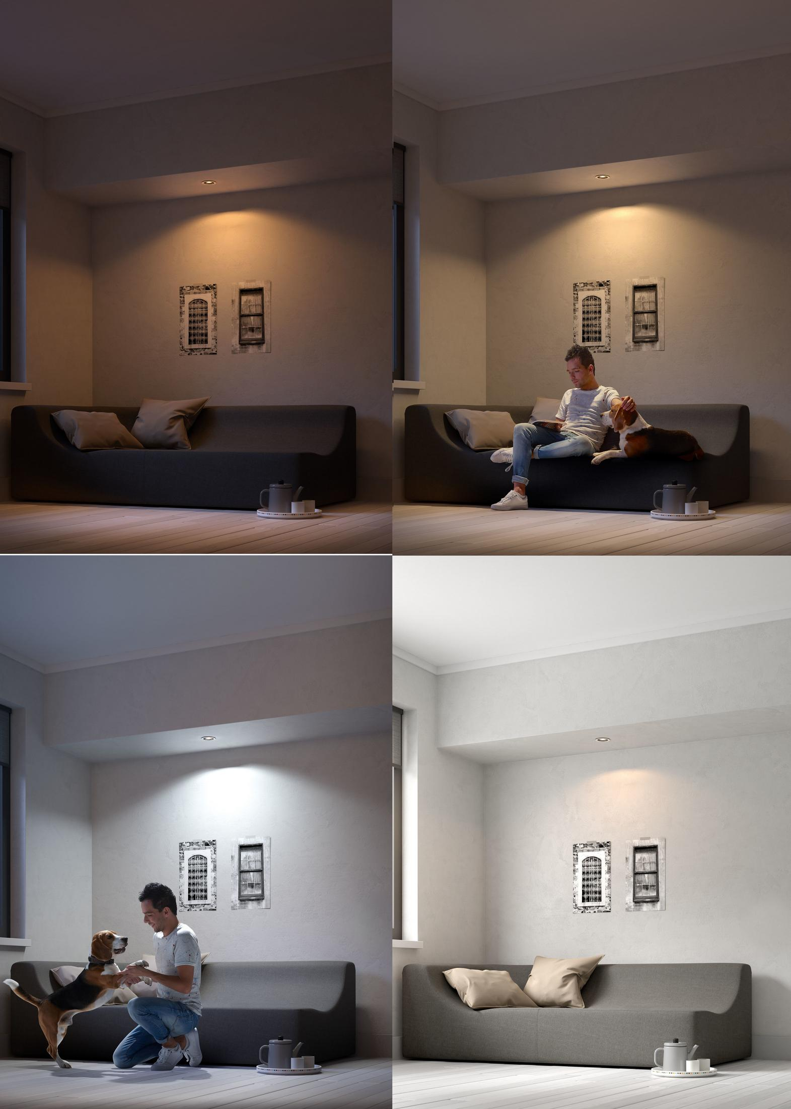 Quatre images montrant différents scénarios d'éclairage dans un salon. Comprend un homme, un chien, un canapé.