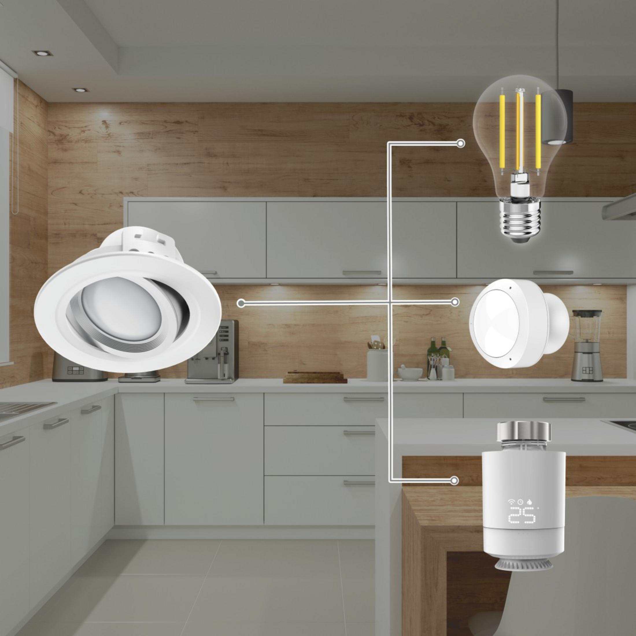 Sono mostrati dispositivi per la casa intelligente. Una lampadina, un termostato e una plafoniera.