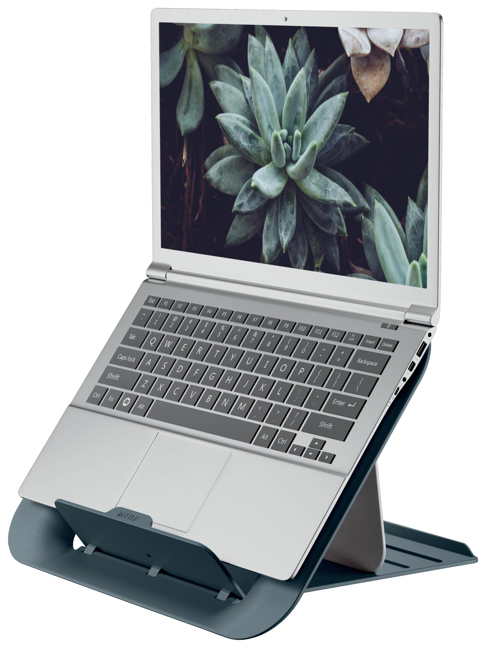 Ein Laptop steht auf einem Ständer und zeigt ein Sukkulentenbild. Der Ständer ist blau.