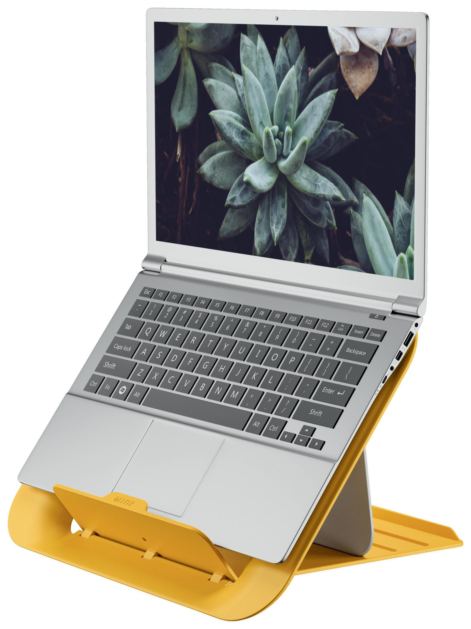 Laptop auf gelbem Ständer, Bildschirm zeigt Sukkulenten. Tastatur und Touchpad sichtbar.