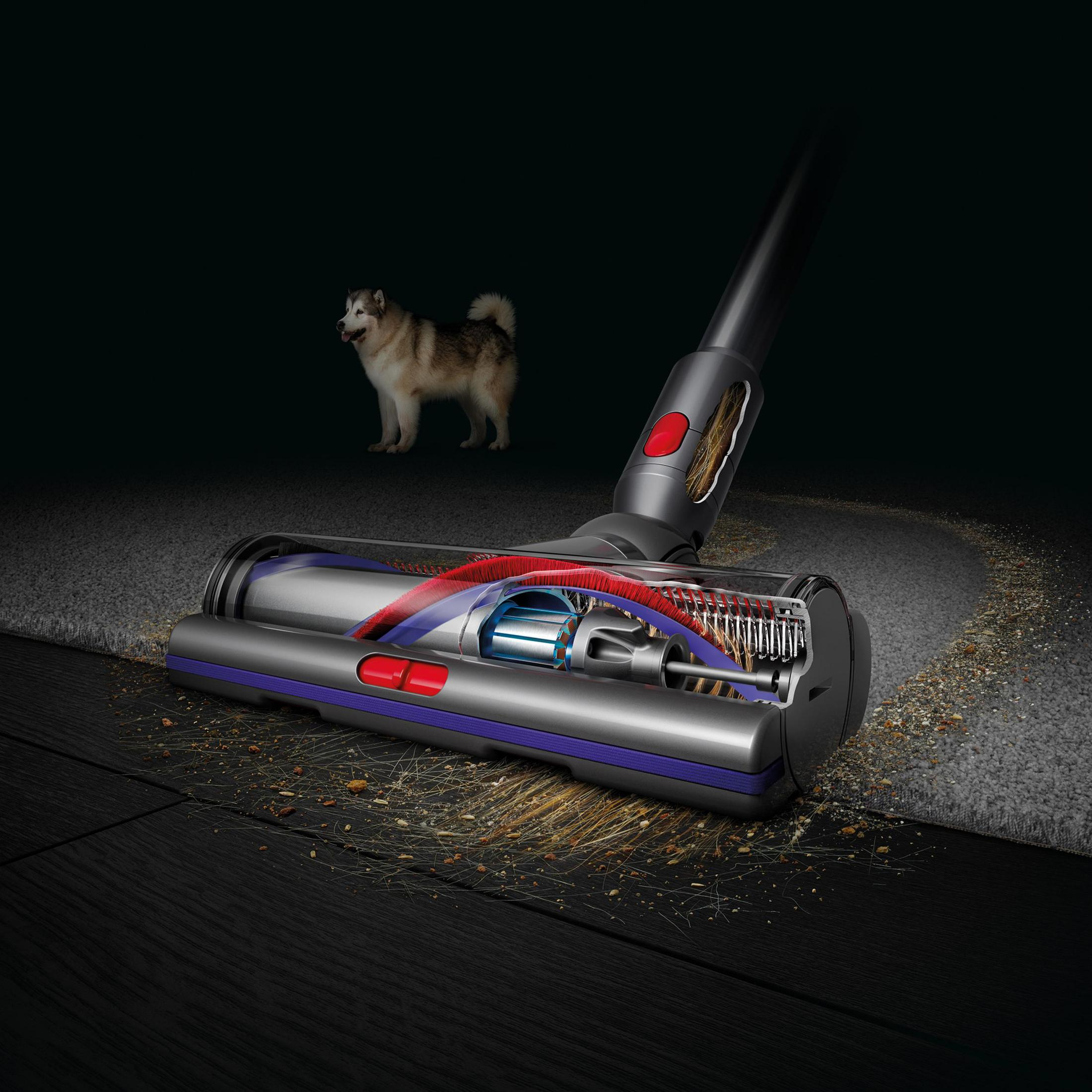 Ein Dyson-Staubsauger, Schnittansicht. Schmutz und Ablagerungen sind dargestellt. Ein Hund ist im Hintergrund.