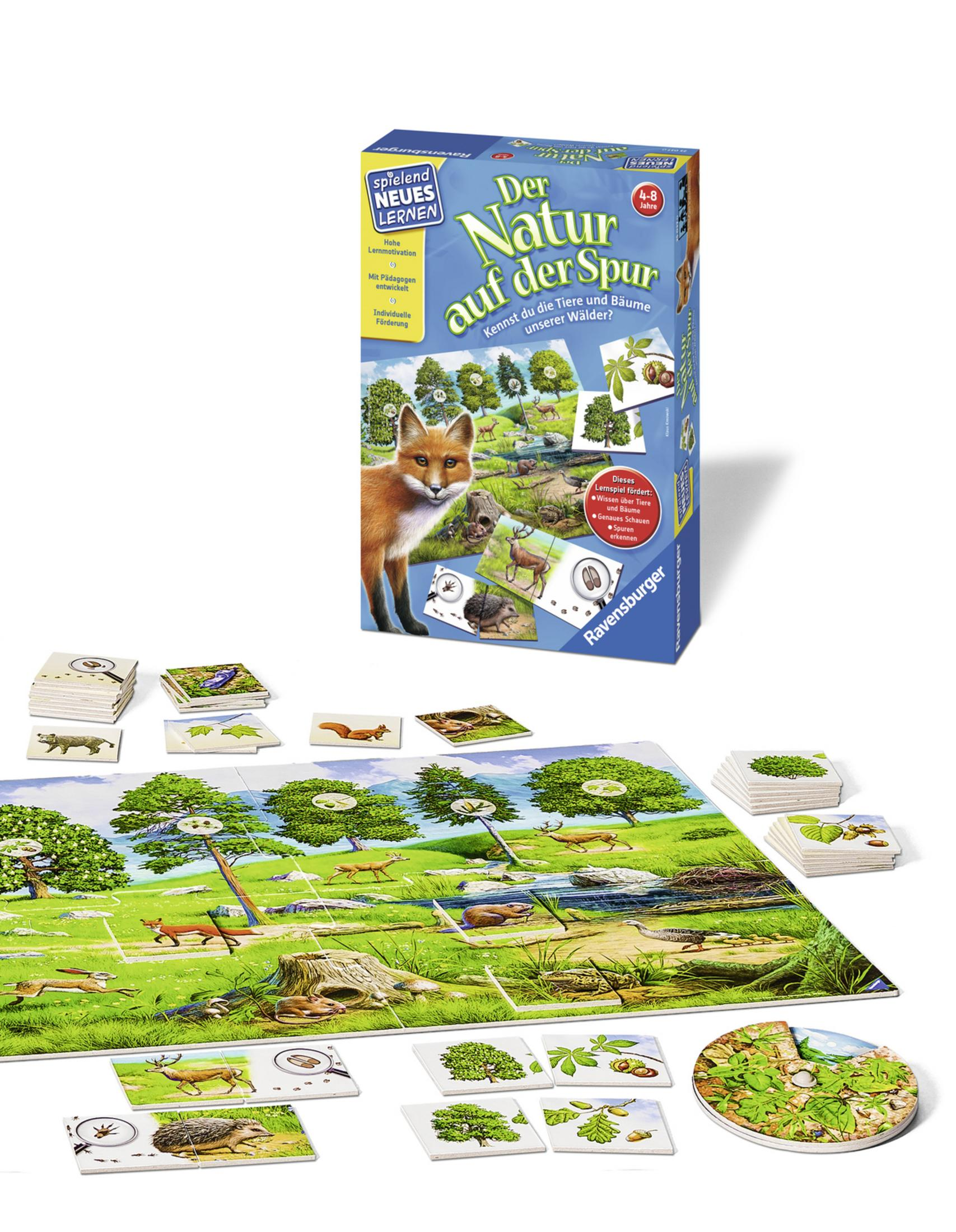 Brettspiel: Ein Fuchs auf der Box. Spielbrett mit Bäumen und Tieren.