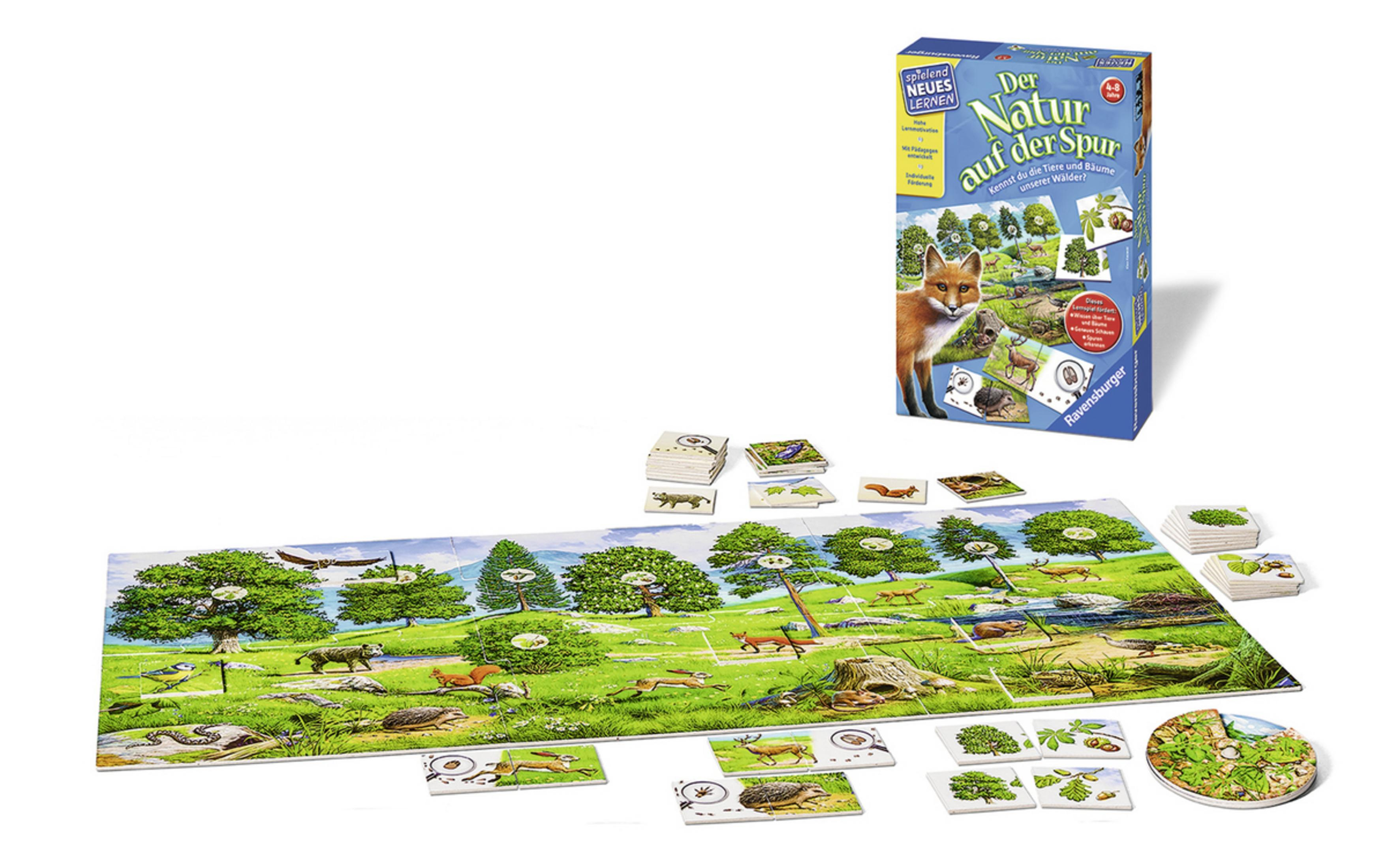 Brettspielbox und Spielsteine. Brettspiel zeigt Landschaft mit Tieren.