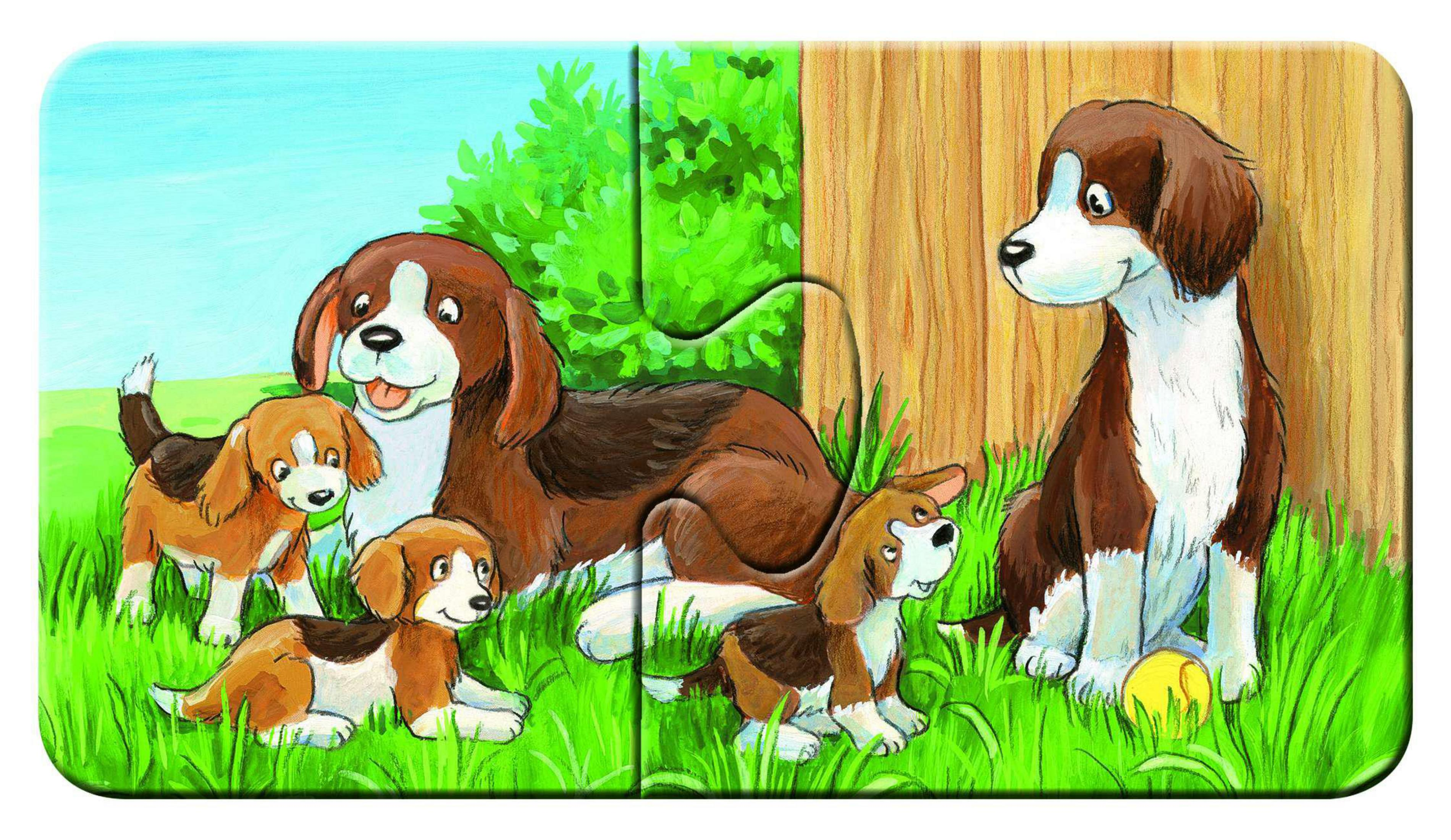 Fünf Hunde im Gras vor einem Holzzaun, vier Welpen und ein großer Hund.