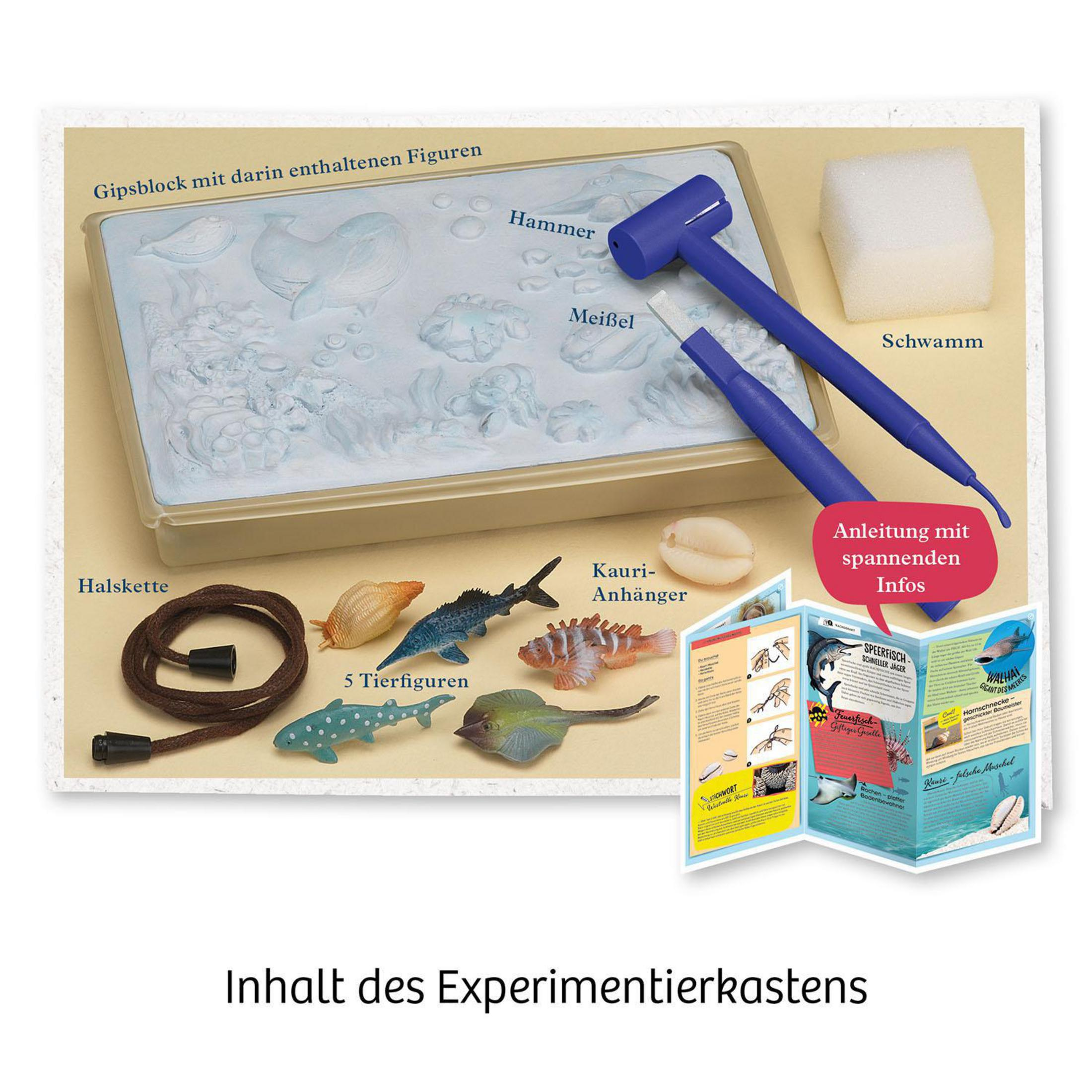 Box mit Gegenständen zum Graben. Enthält Hammer, Meißel, Halskette und Figuren. Text auf Deutsch.