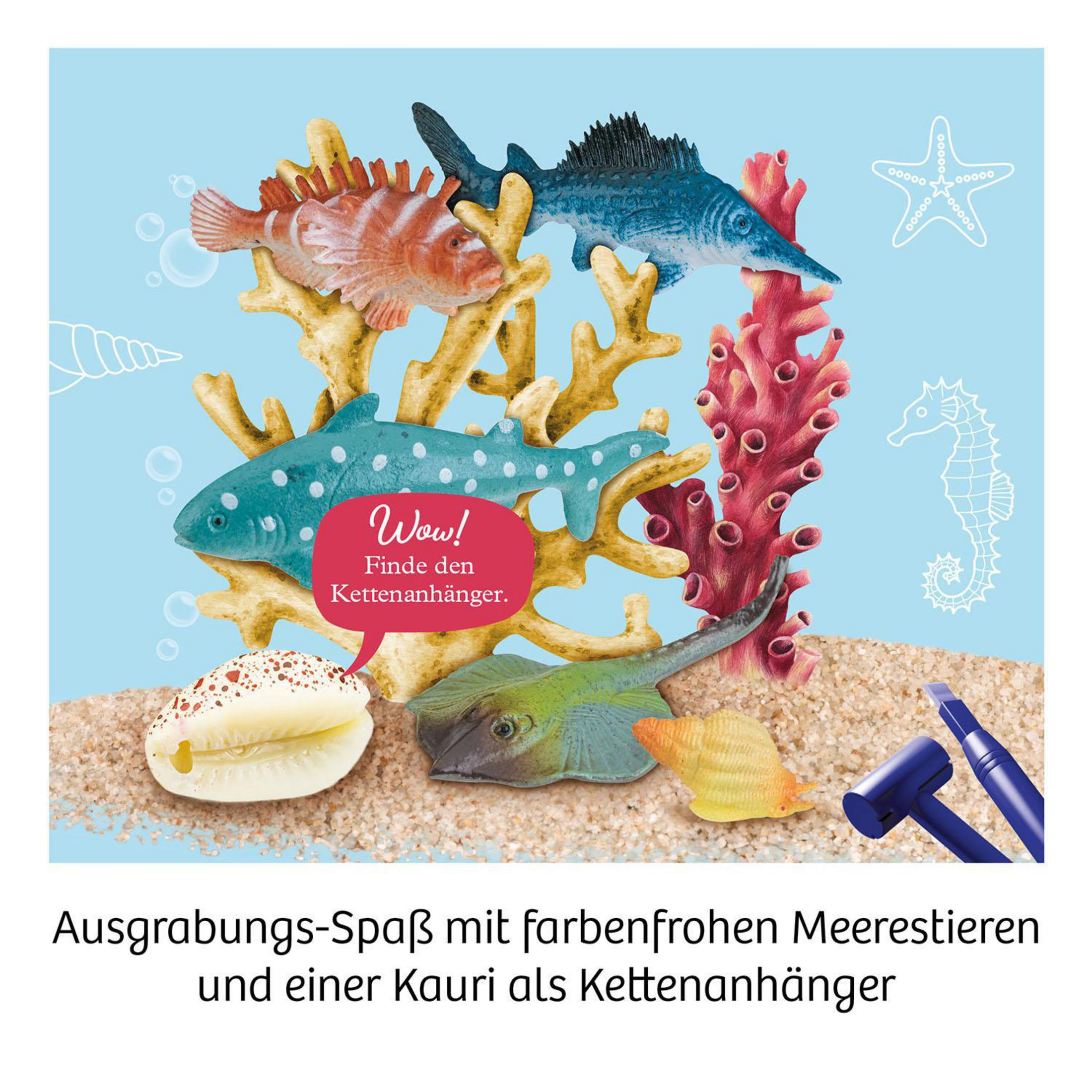 Bild mit Meeresbewohnern und Sand. Enthält Fische, Muscheln und Seesterne. Text in Deutsch.