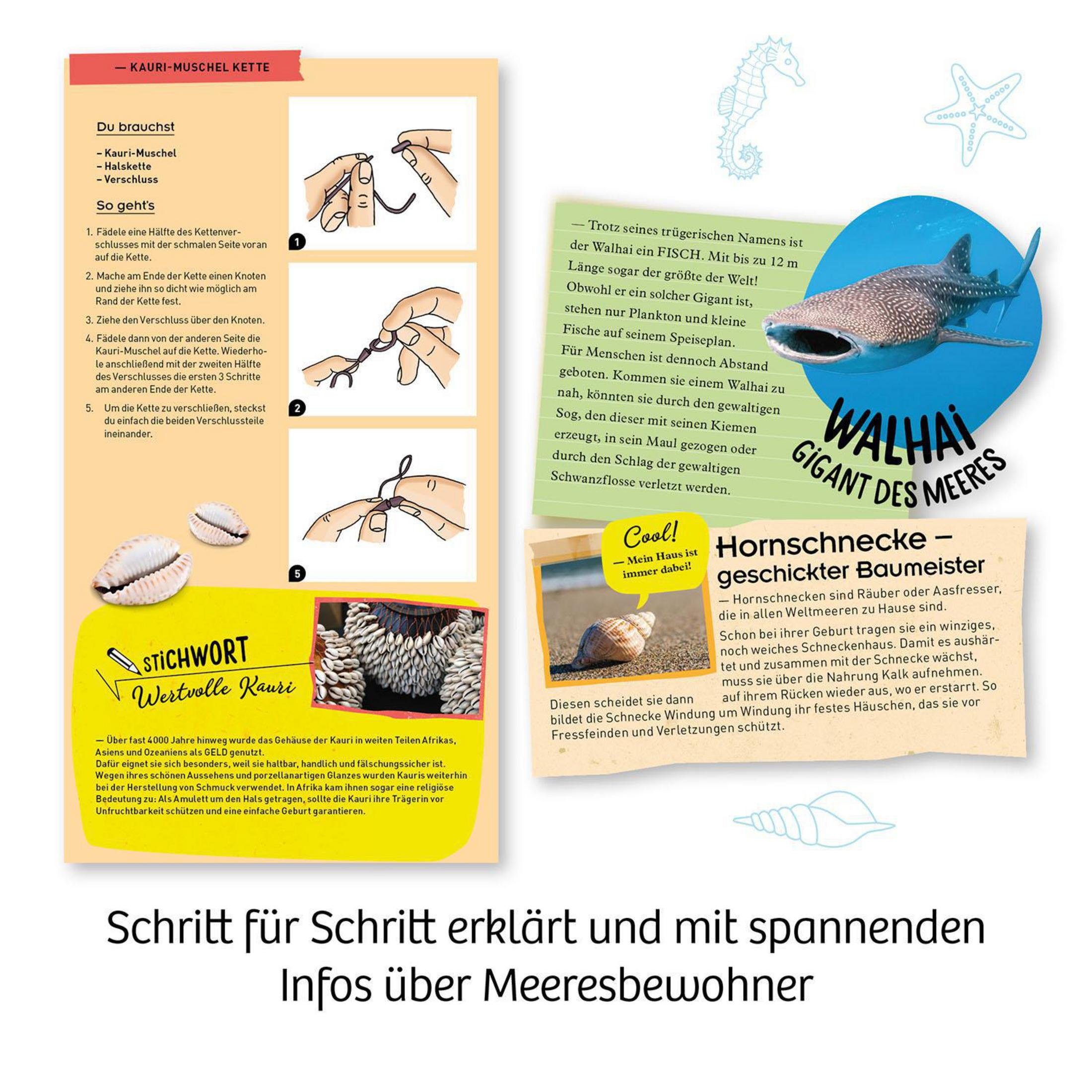 Eine Buchseite mit einer Anleitung zum Knotenbinden und einer Muschel daneben.