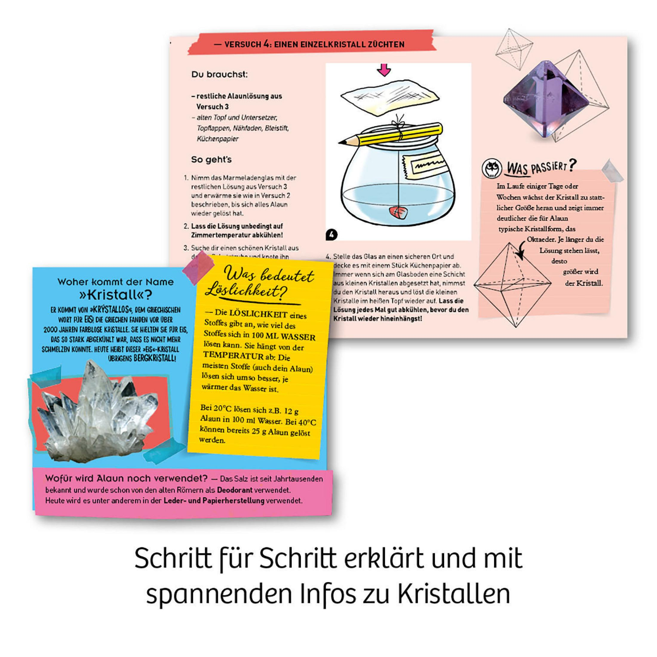 Anleitung zum Züchten von Kristallen: Text, Diagramme und ein Behälter mit Bleistift und lila Kristall.