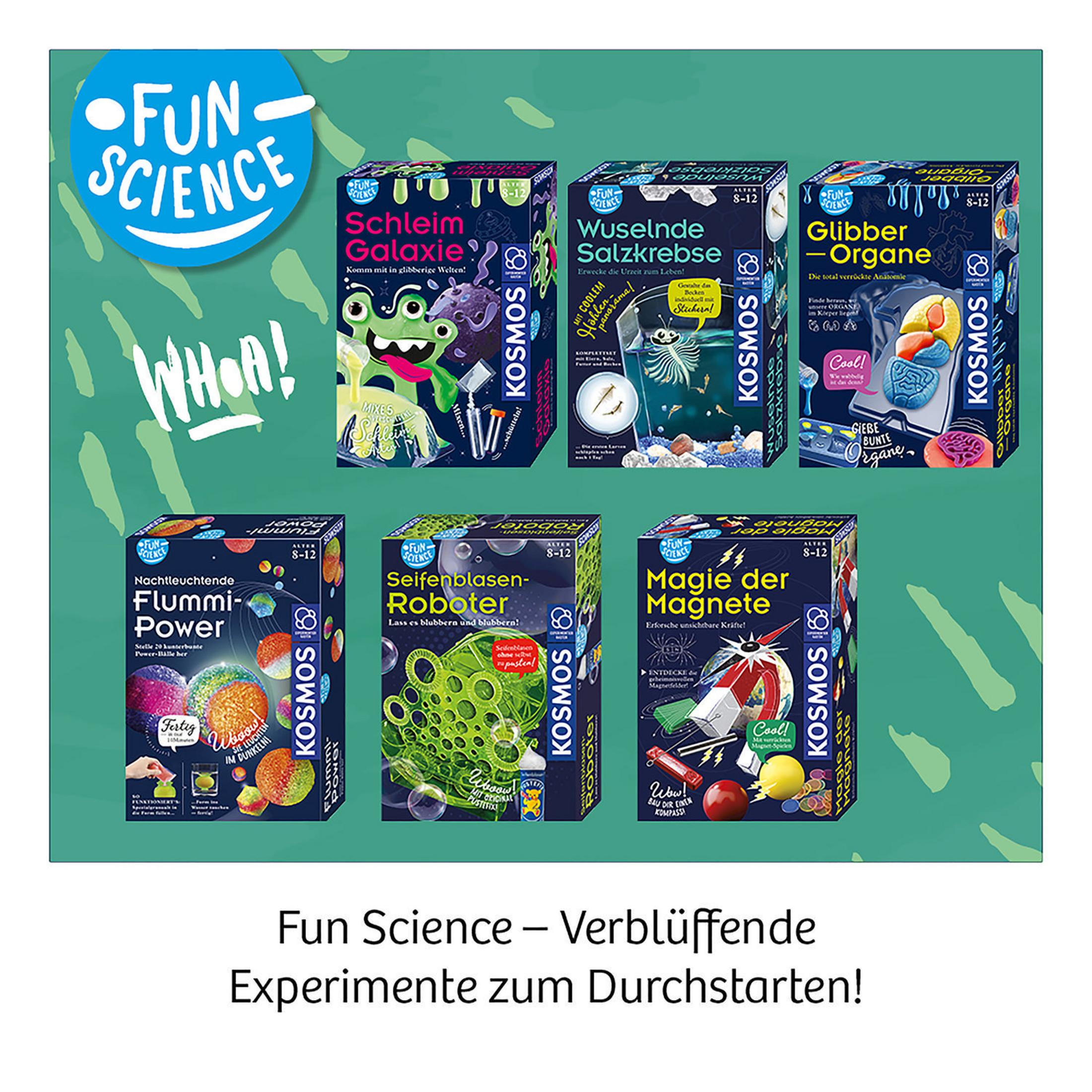 Sechs Boxen mit 'Fun Science' Experimenten, darunter Schleim, Blasen und Magnete.