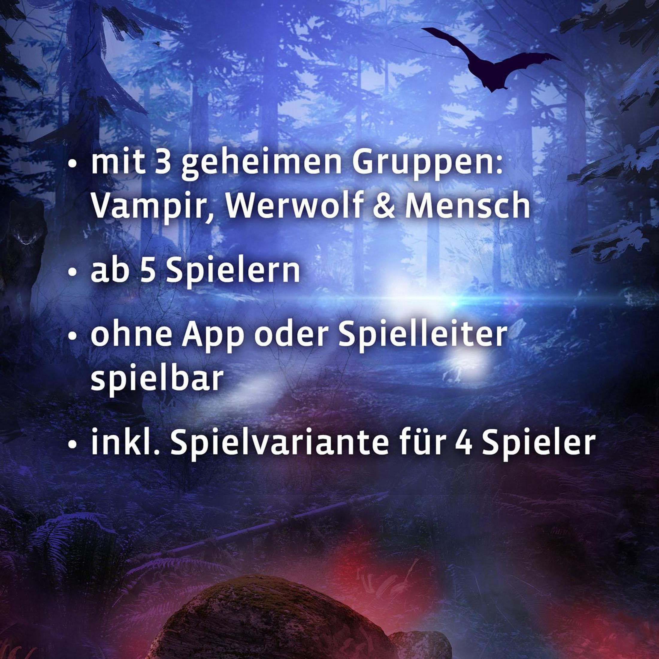 Bild mit Text auf Deutsch. Text beschreibt ein Spiel mit 3 geheimen Gruppen: Vampir, Werwolf und Mensch.