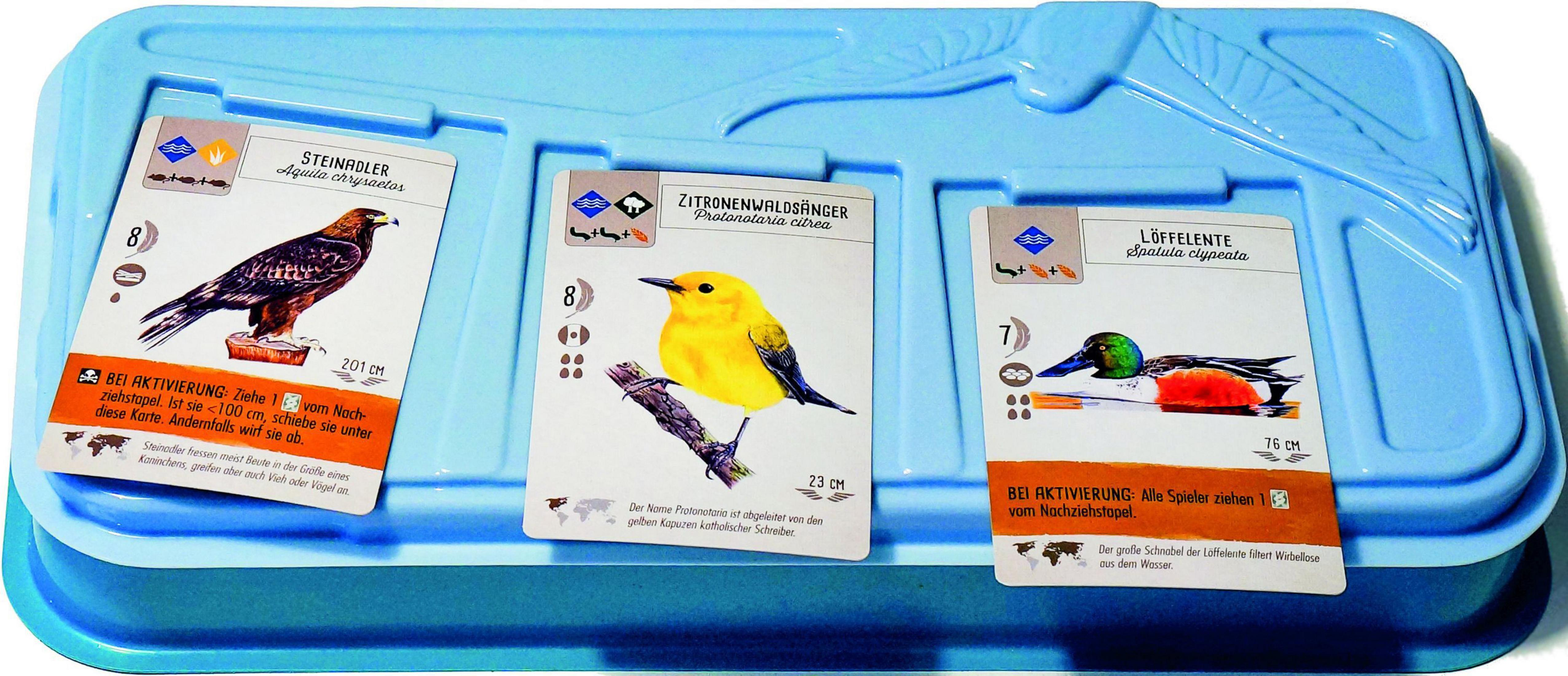 Vassoio di plastica blu con tre carte di uccelli. Le carte presentano immagini e dettagli.