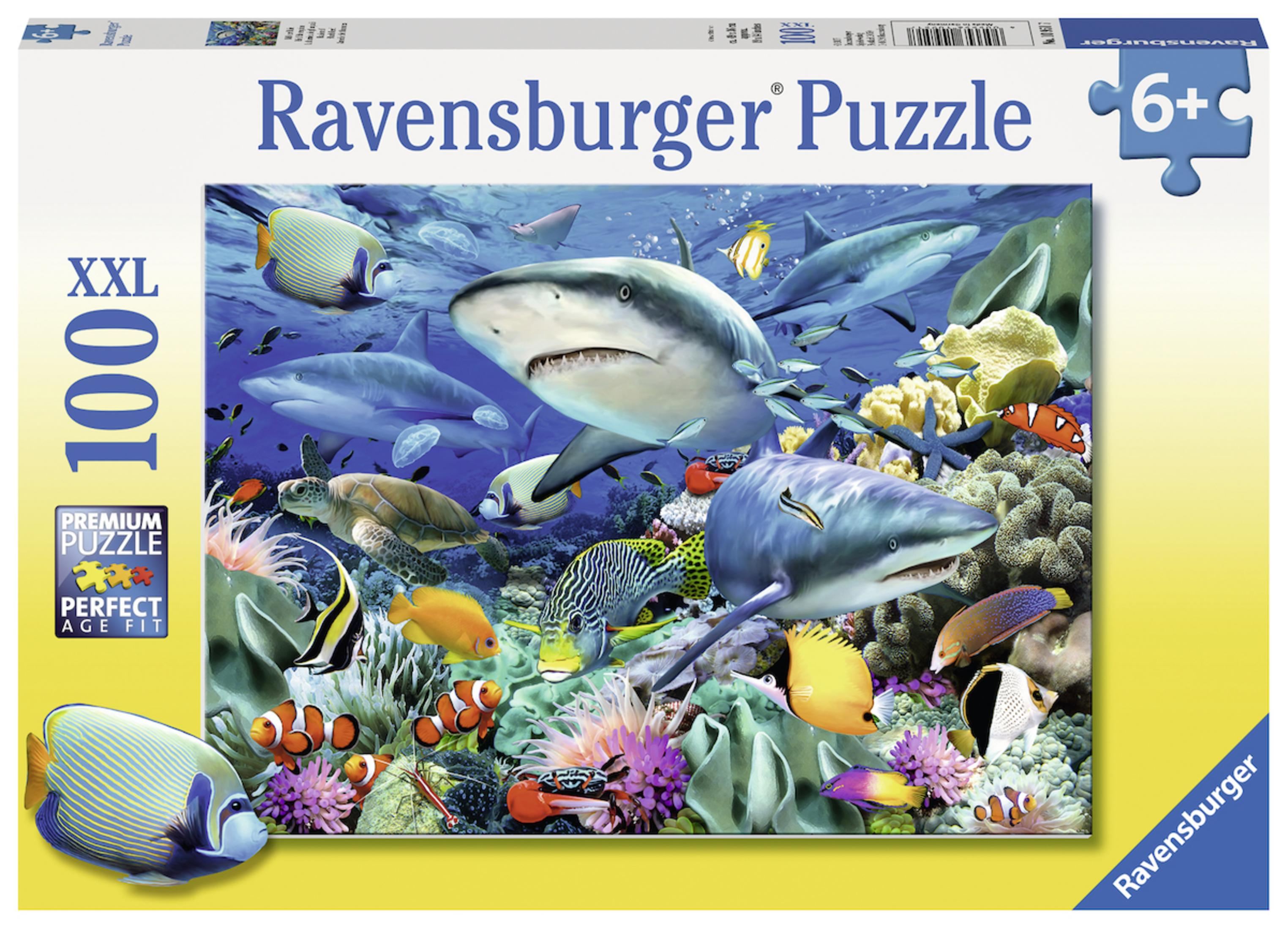 Scatola puzzle da 100 pezzi con squali e pesci sott'acqua.