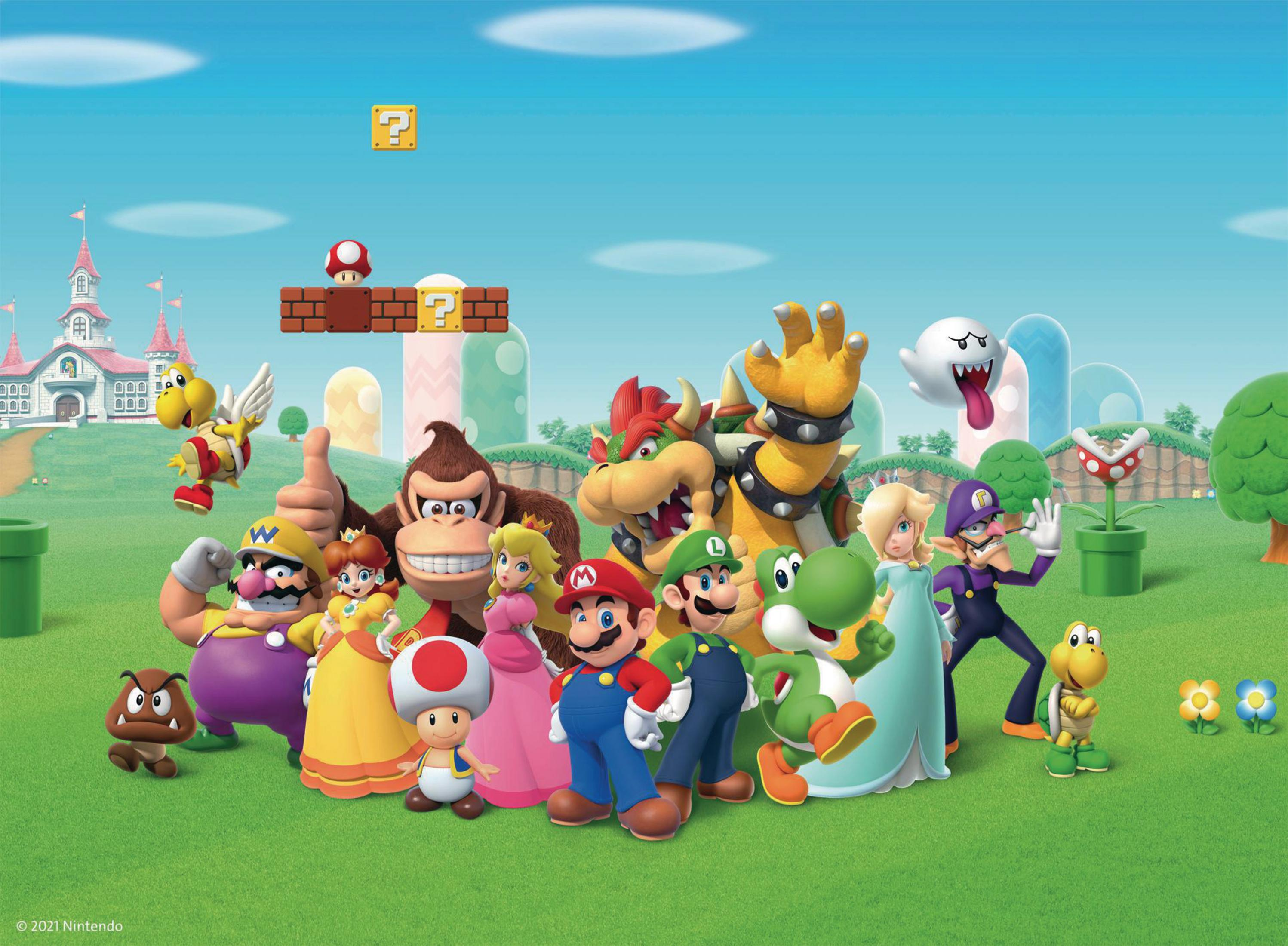 Mario en vrienden in een groep. De achtergrond is een groen veld met een kasteel.
