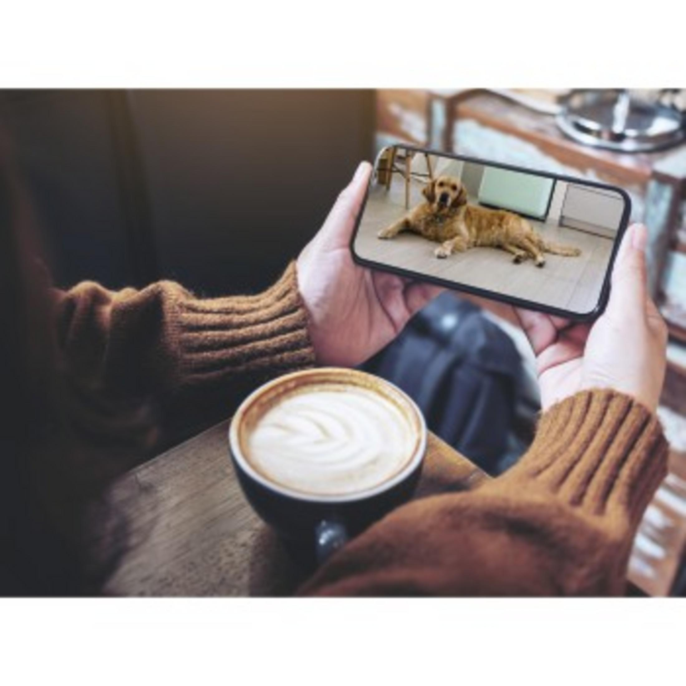Osoba trzymająca telefon ze zdjęciem psa, filiżanka kawy na pierwszym planie.