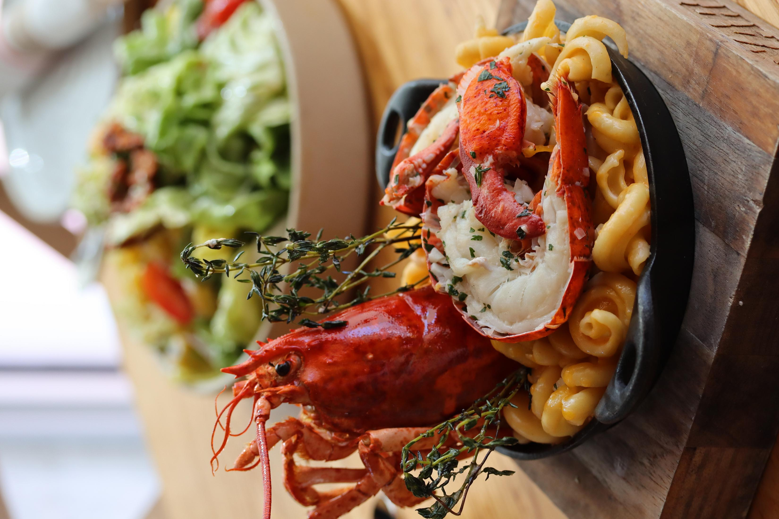 Homar i makaron w patelni, z zieloną sałatką. Jedzenie na drewnie, zbliżenie.