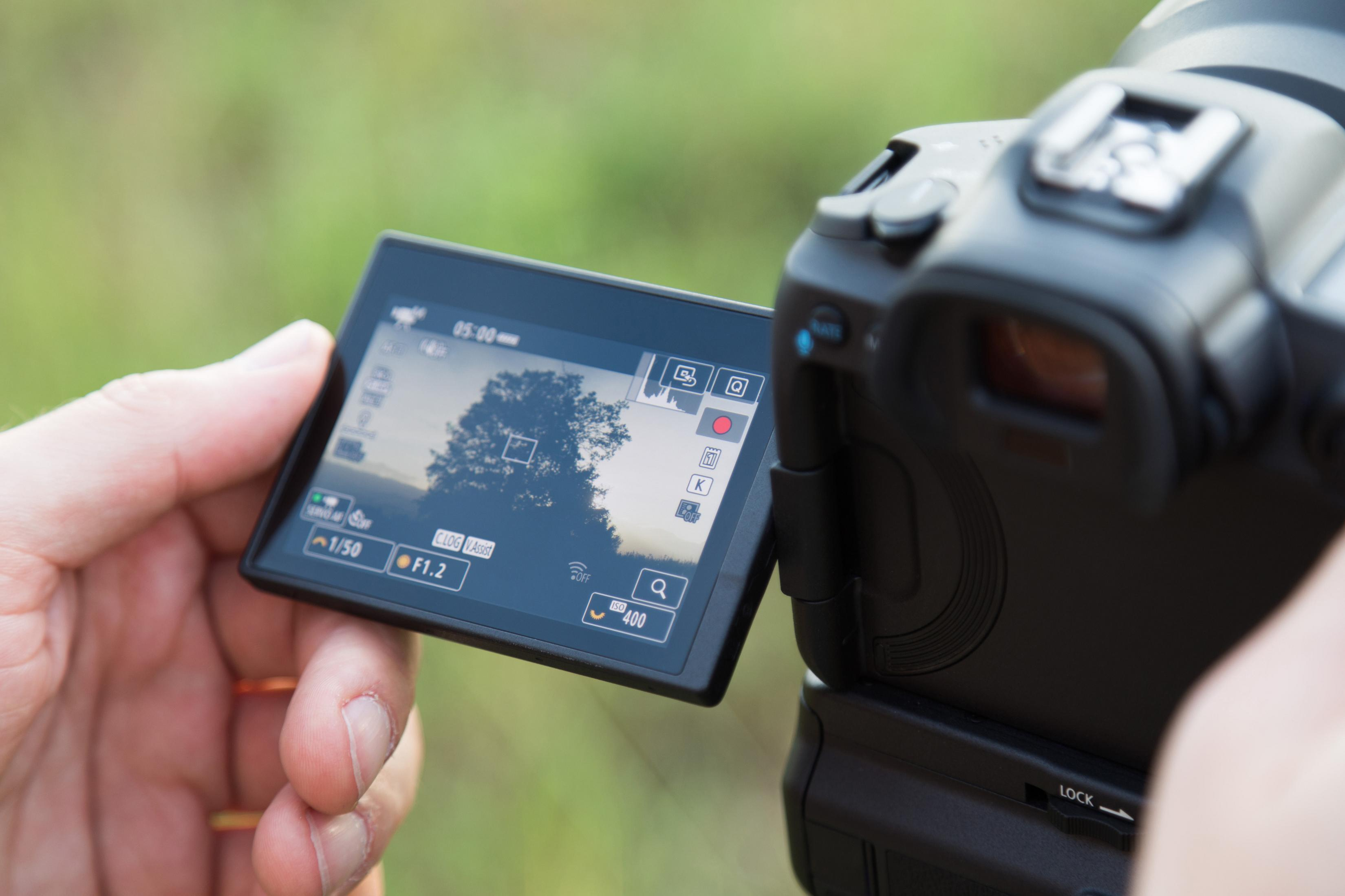 Una persona tiene in mano una fotocamera, lo schermo mostra un albero. La fotocamera è puntata verso l'albero.