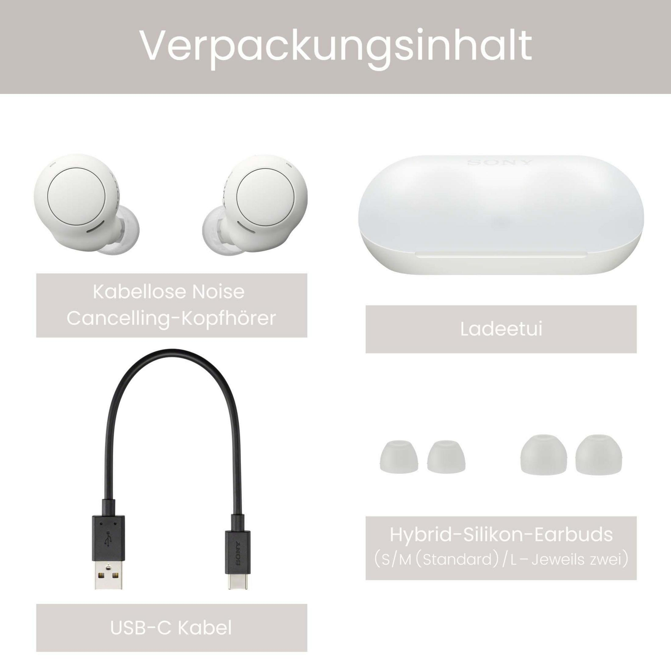 Weiße Ohrhörer, Ladecase, Ladekabel und Ohrstöpsel auf weißem Hintergrund.