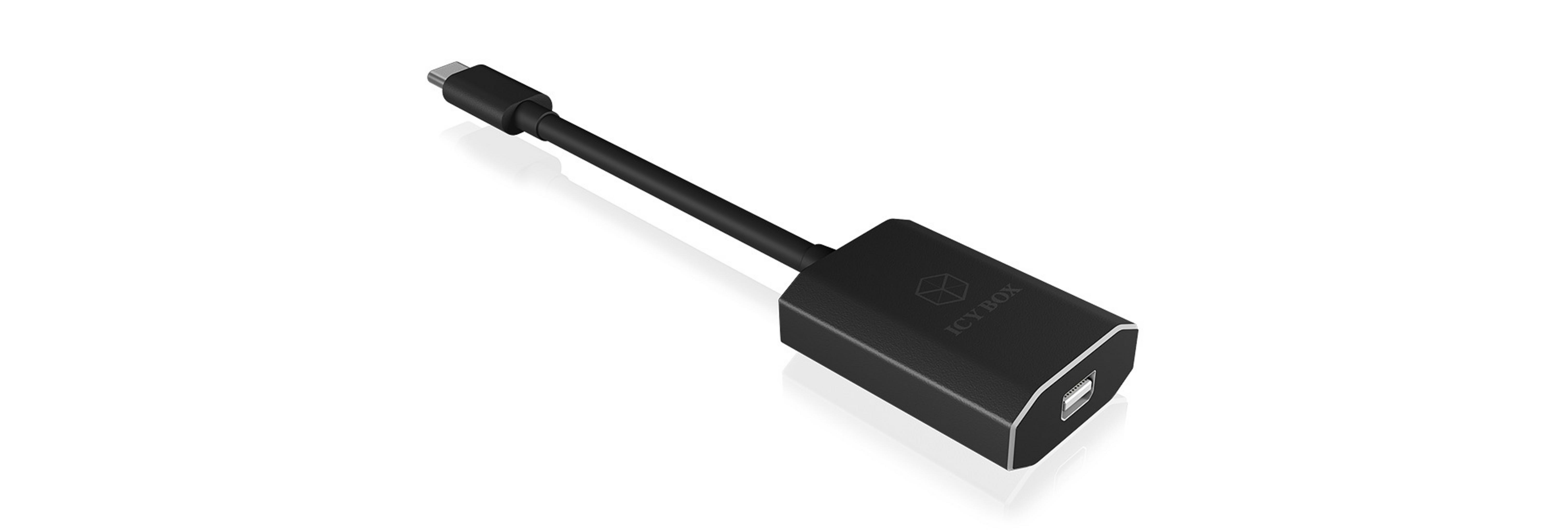 RAIDSONIC IB-AD550-C USB TYPE-C ZU Adapter, DISPLAYPORT Schwarz MINI