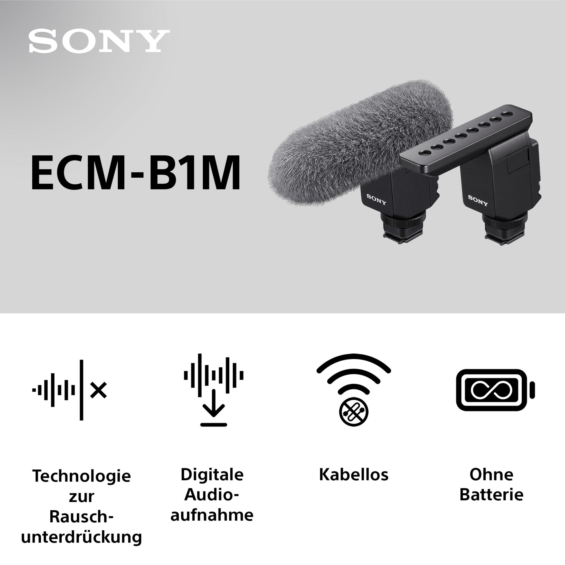Sony-Mikrofon mit Windschutz und vier Symbolen für Rauschunterdrückung, digitale Audioaufnahme.