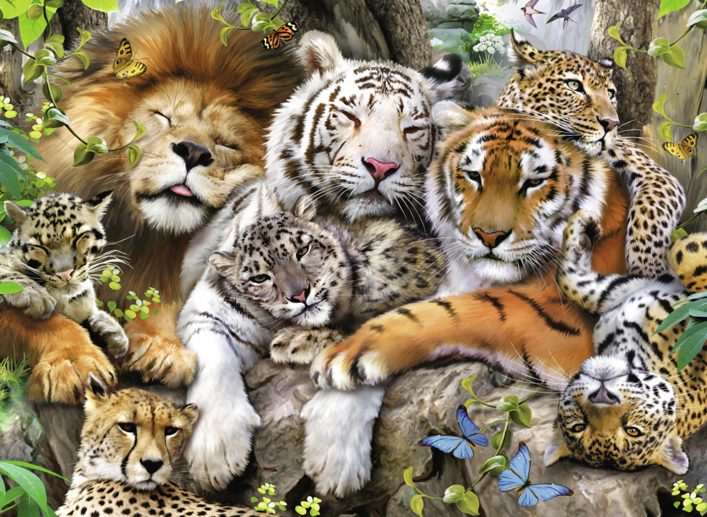 Molti animali sono insieme: leone, tigri, leopardo, ghepardo e farfalle. Sono sdraiati su una roccia.