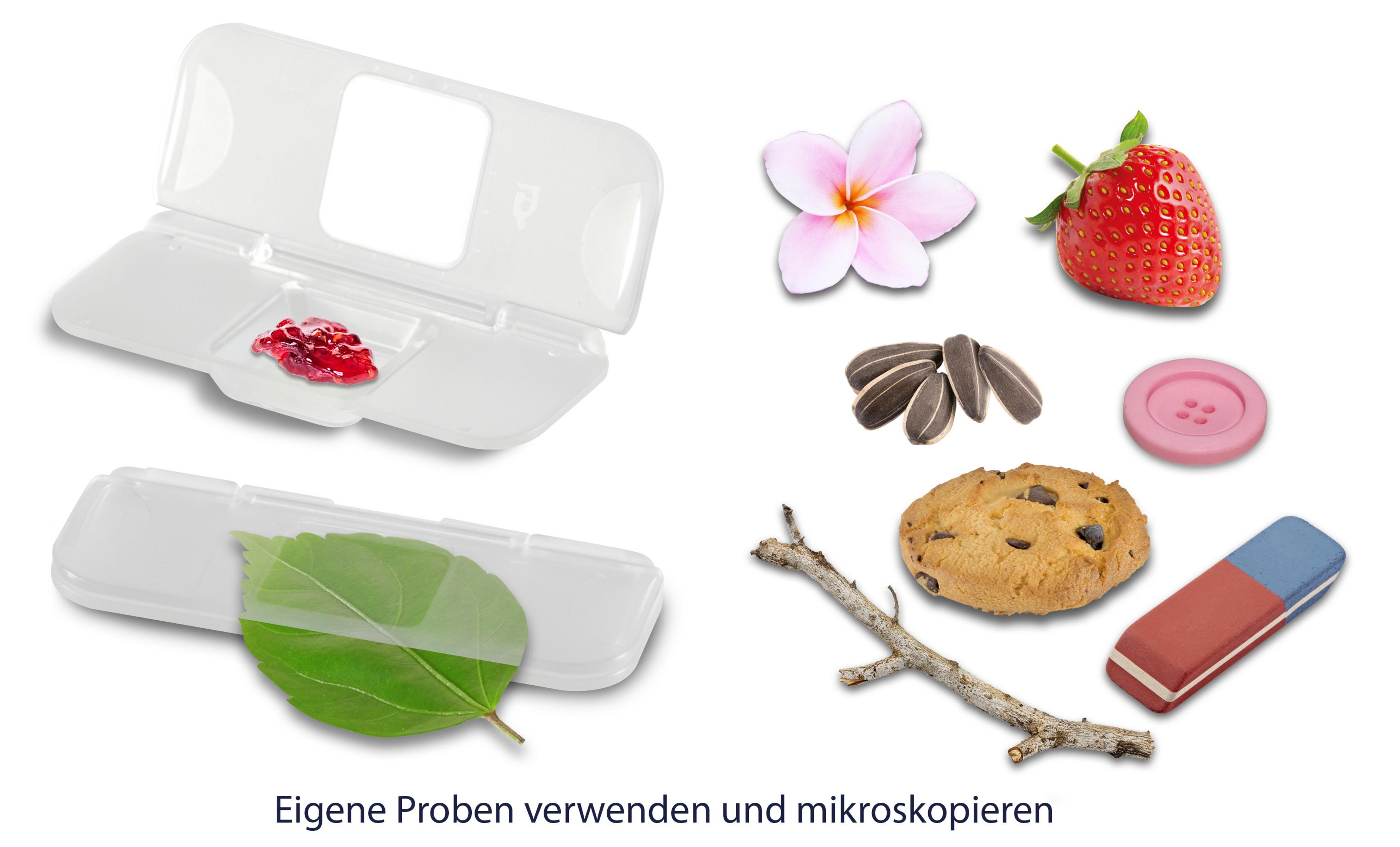 Das Bild zeigt verschiedene Gegenstände zur Mikroskopbeobachtung, darunter ein Blatt, eine Blume, eine Erdbeere und ein Keks.
