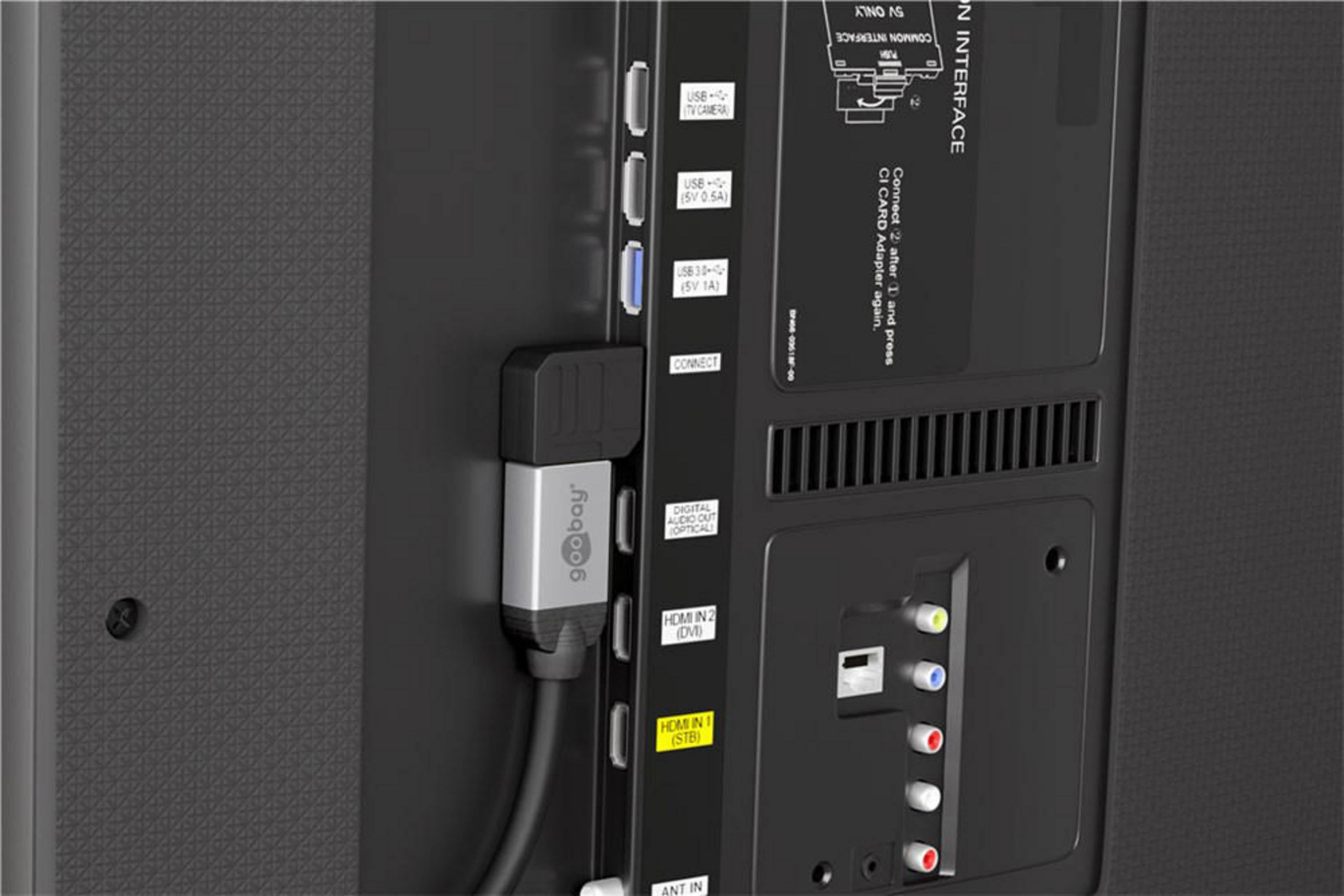 Retro di un televisore che mostra le porte di connessione. HDMI, USB e altre porte. Connettore gogoboy collegato.