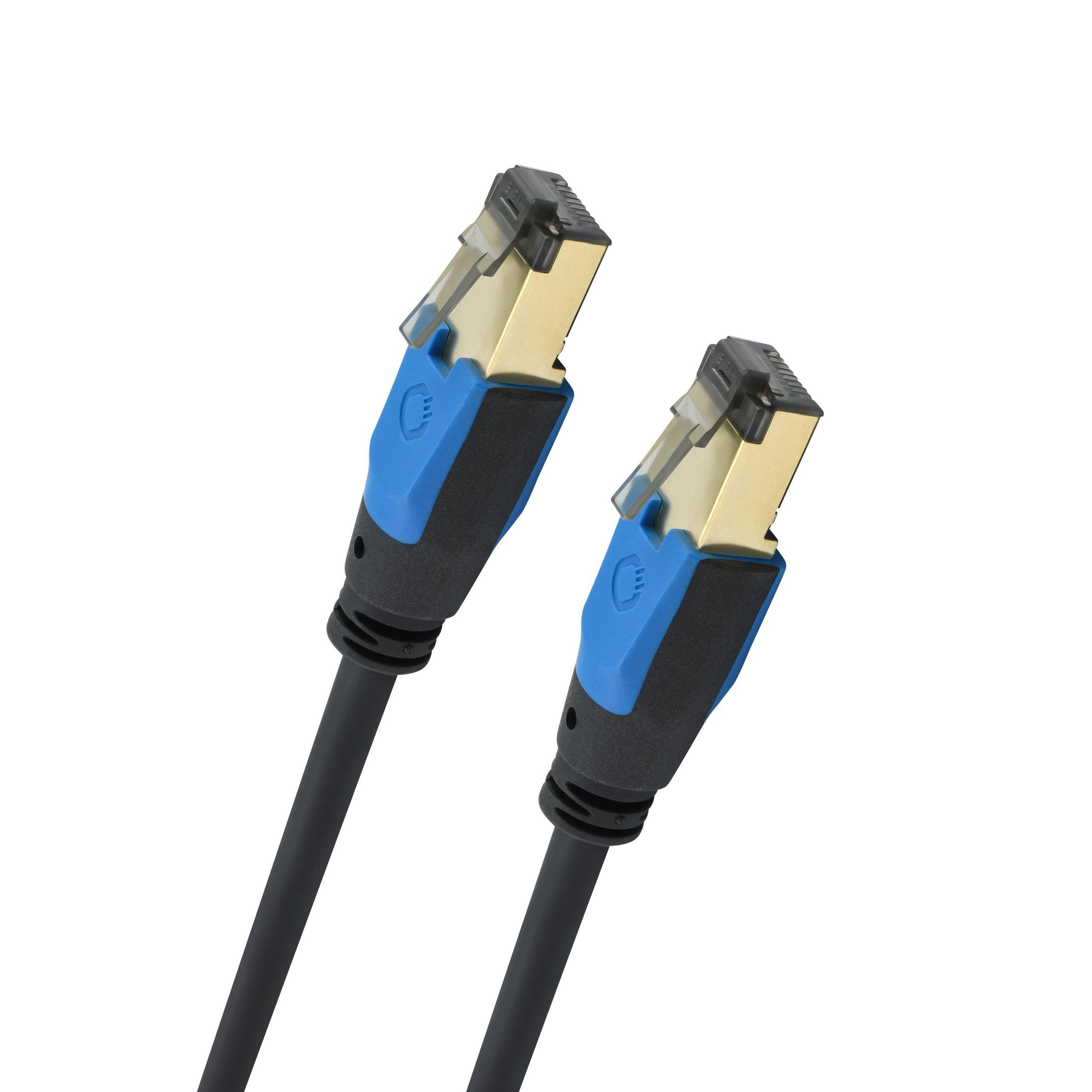 Zwei schwarze Ethernet-Kabel mit goldenen Steckern und blauen Akzenten, nach oben abgewinkelt auf weißem Hintergrund.