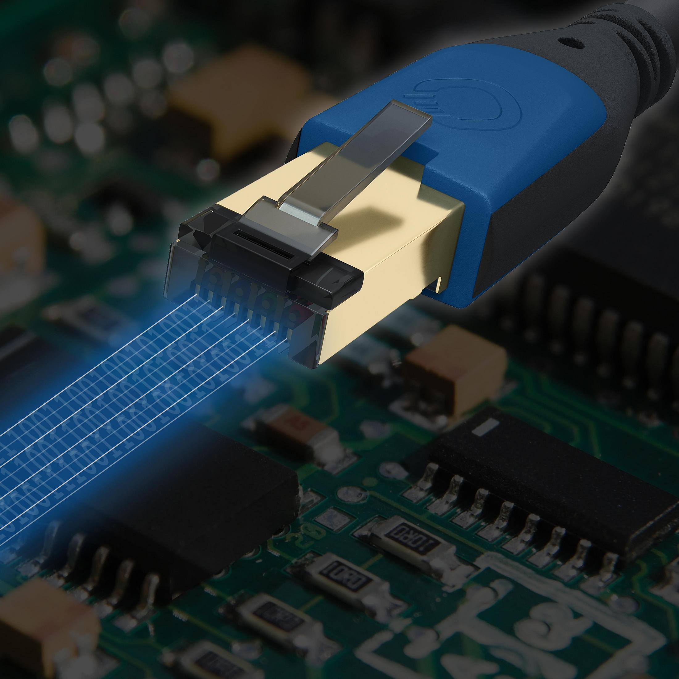 Nahaufnahme eines Ethernet-Kabelanschlusses. Er ist blau und schwarz, mit Lichtstrahlen.