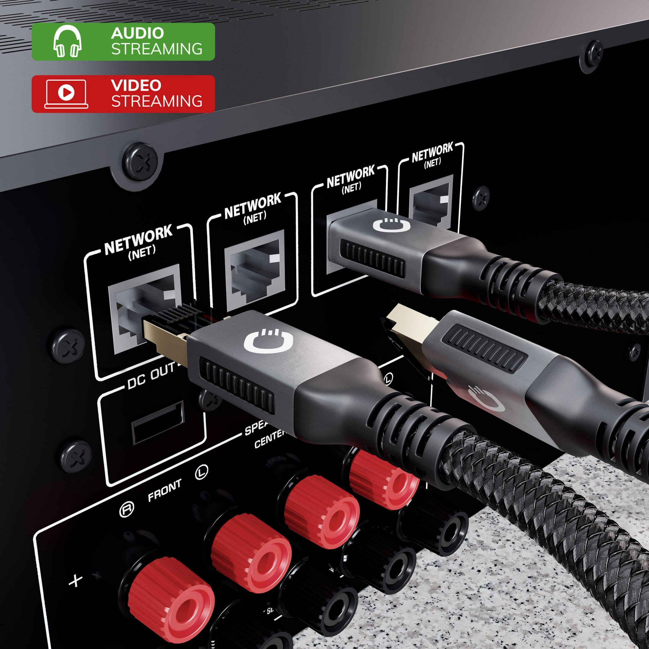 Rückseite eines schwarzen AV-Receivers mit Netzwerkanschlüssen, HDMI und roten Lautsprecheranschlüssen.