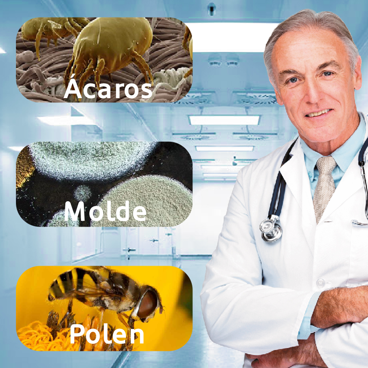 Lekarz z obrazami roztoczy, pleśni i pyłków. Tło to laboratorium.