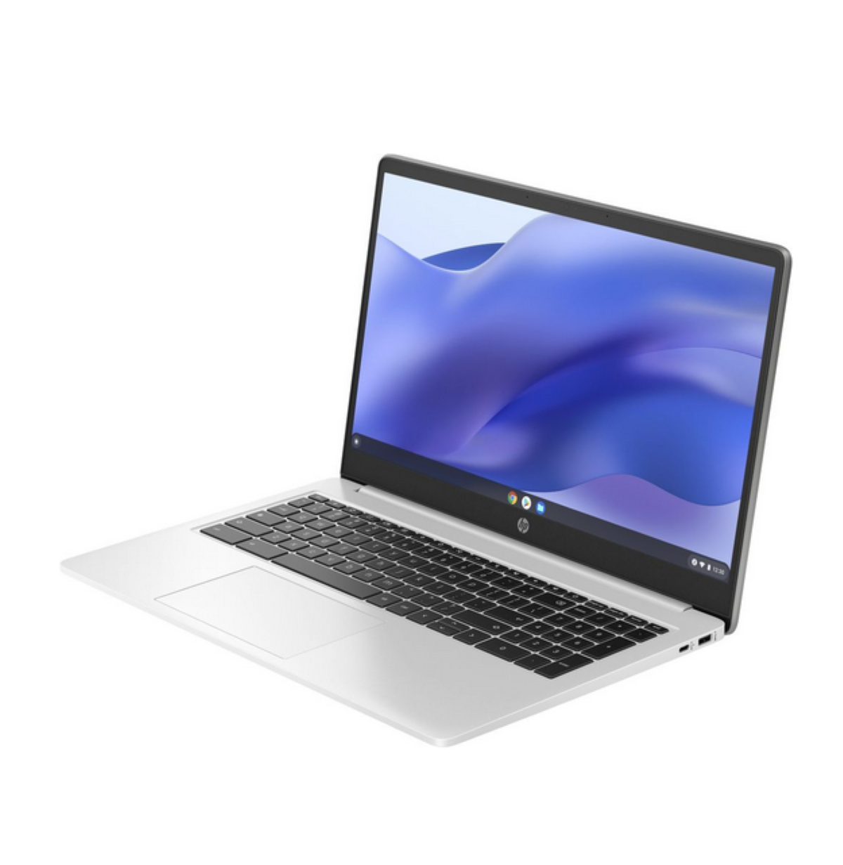 HP 7Q7Q6EA, Notebook mit GB Zoll Display, GB SSD, Black RAM, Celeron® 8 128 Intel, 15 Intel® Prozessor