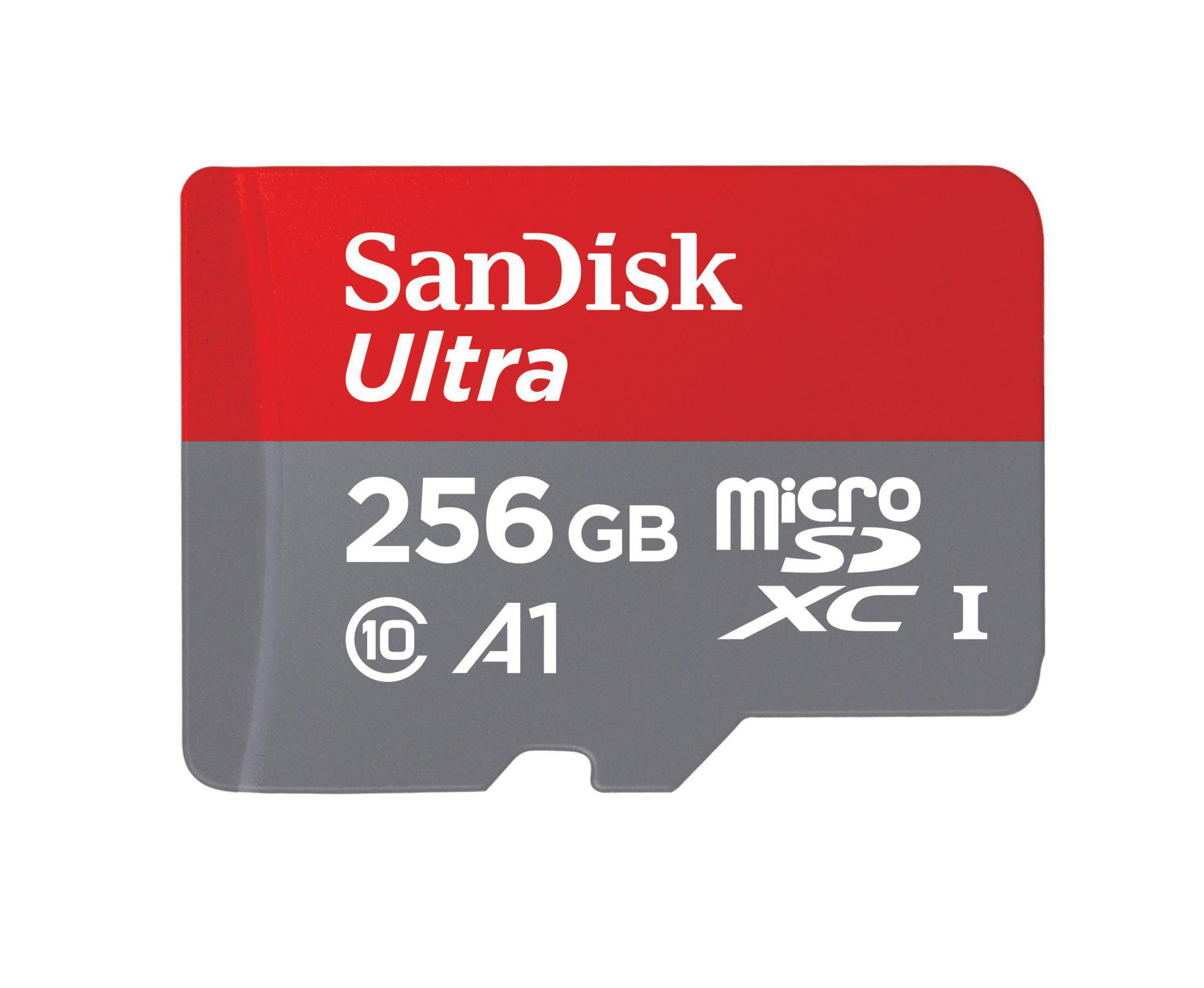 MSDXC MB/s 173469 GB, Speicherkarte, Micro-SDXC 100 ULT. (100MB/S,UH, SANDISK 256 256GB