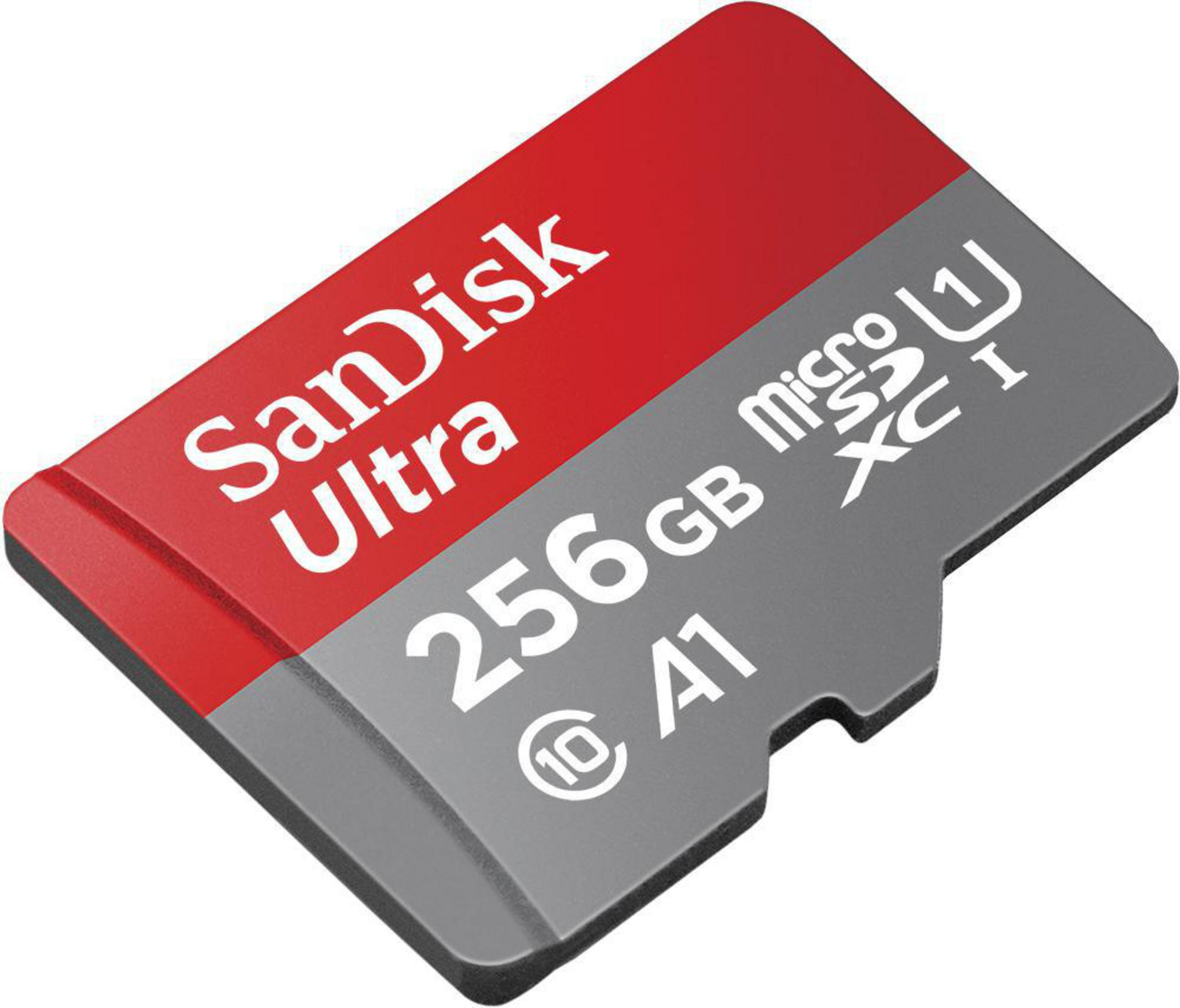 SANDISK 173469 256 Micro-SDXC MSDXC 100 GB, MB/s ULT. 256GB (100MB/S,UH, Speicherkarte