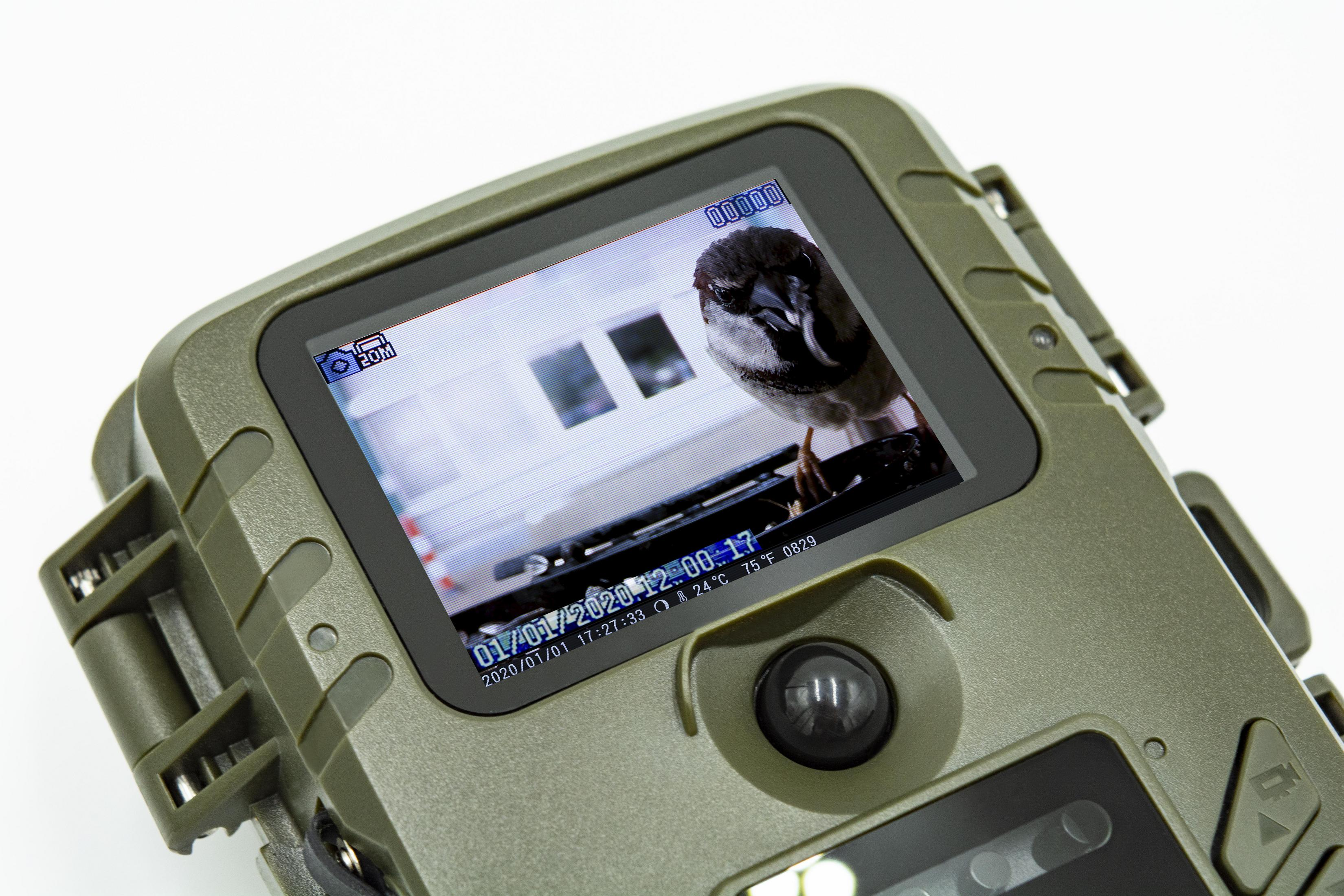 Grün, 4923 k.A. TECHNAXX TX-165 BIRDCAM Zoom FULL opt. Wildkamera HD