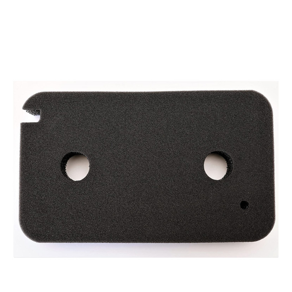 Black foam rectangle with two holes and a notch, isolated on white background.