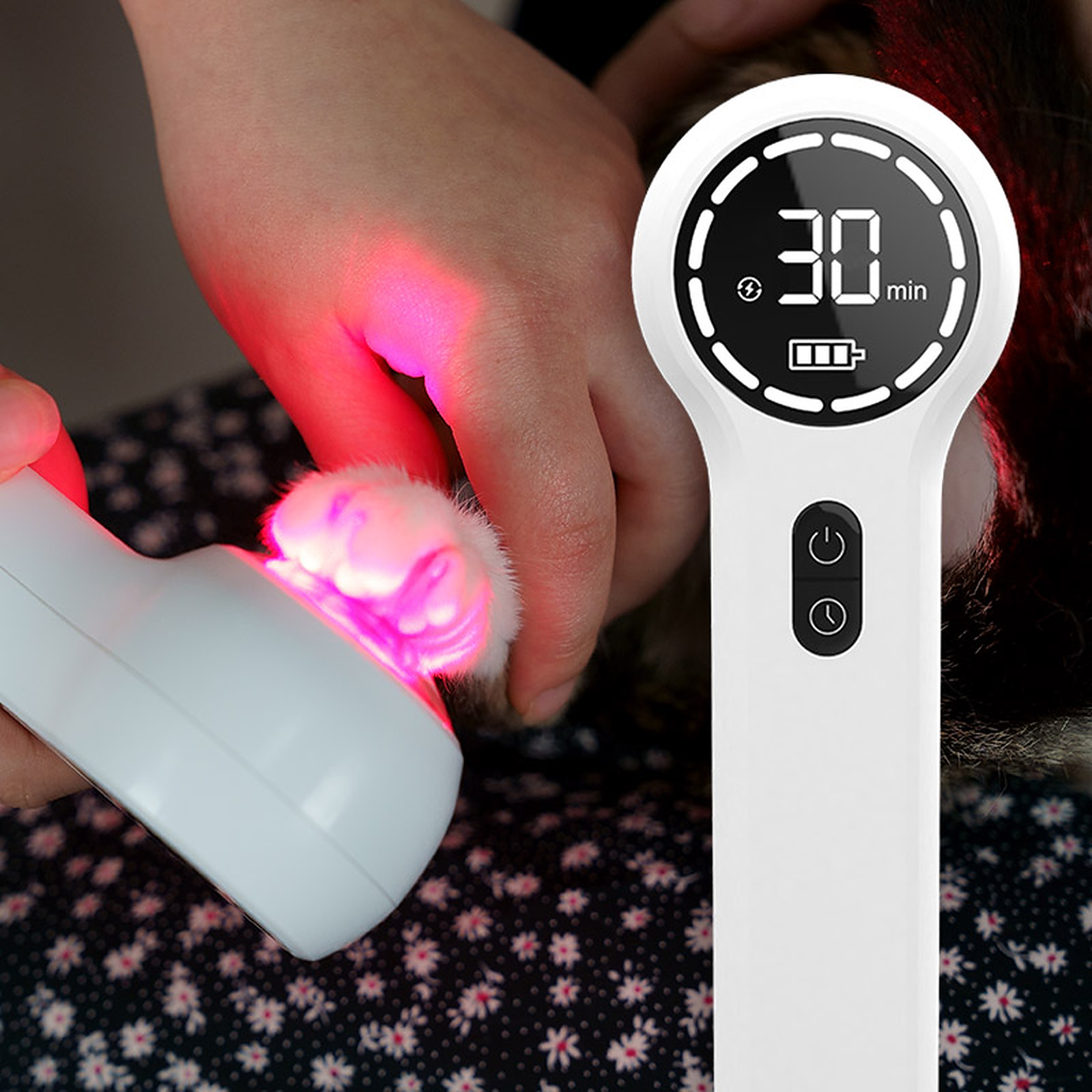 Ein weißes Gerät, das rotes Licht auf eine Katzenpfote emittiert, mit digitaler Anzeige 30 Minuten.