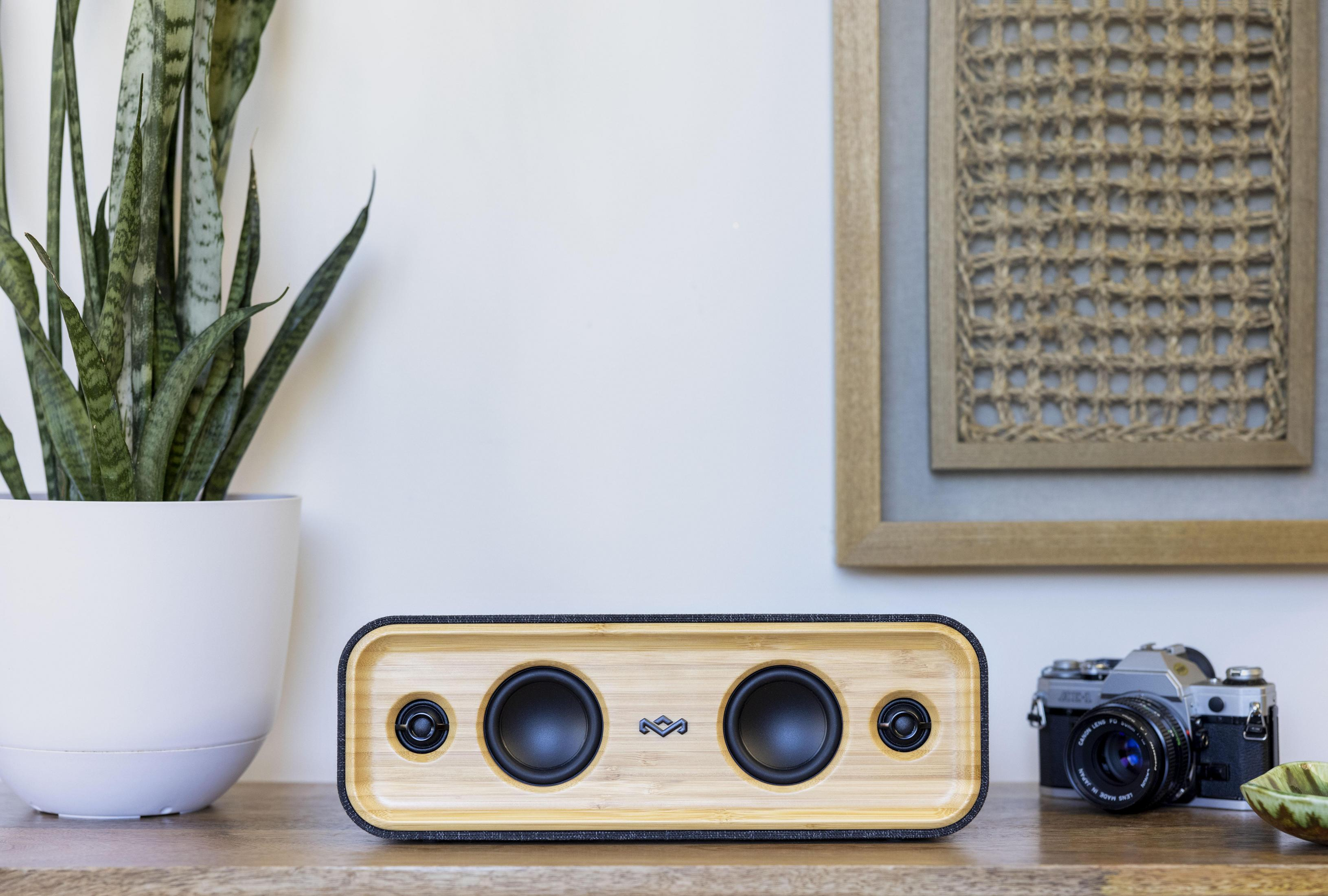 Drewniany głośnik stoi na biurku. Na biurku stoi też roślina i aparat fotograficzny.