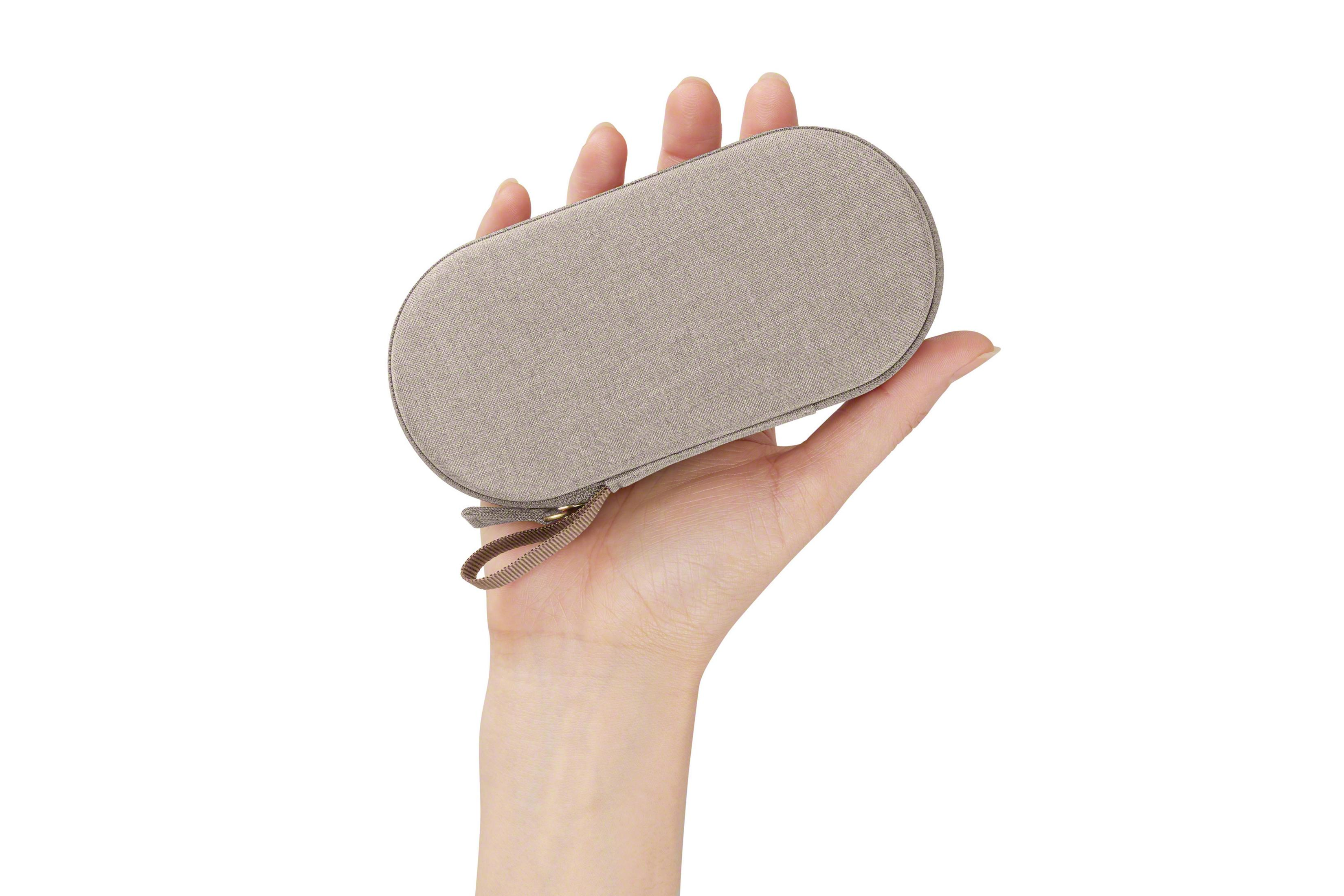 A hand holding a small, oval, gray case with a zipper. White background.