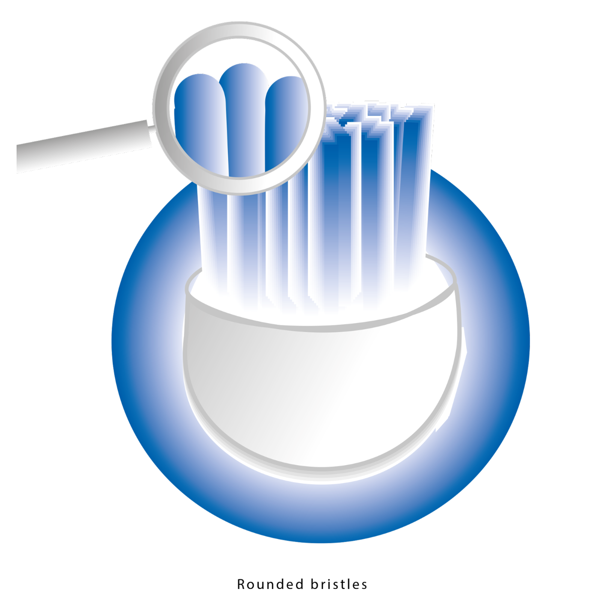 Zbliżenie główki szczoteczki do zębów ze szczeciną powiększoną przez szkło powiększające.