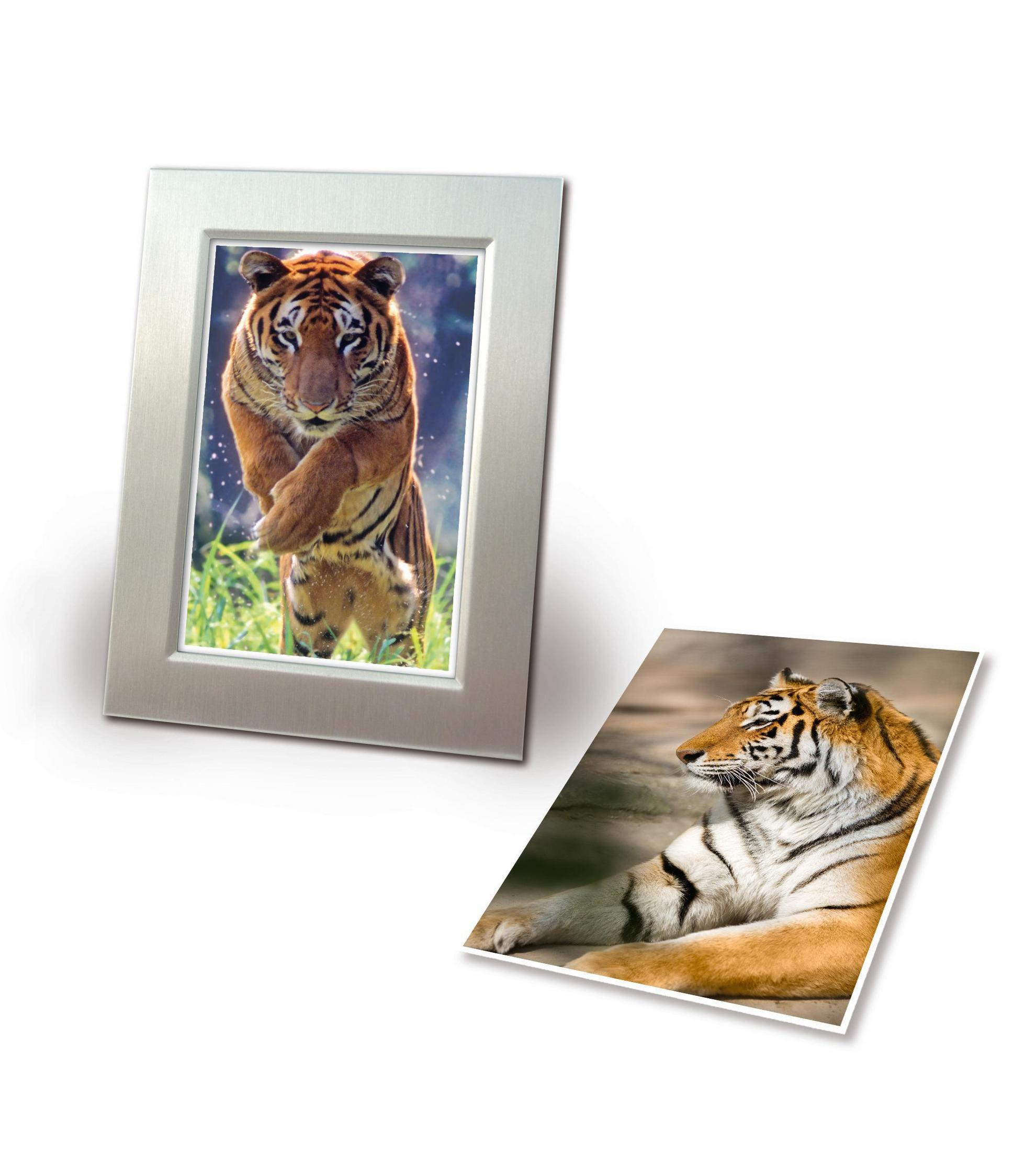 Zwei Bilder eines Tigers. Eines in einem Rahmen und das andere liegend.
