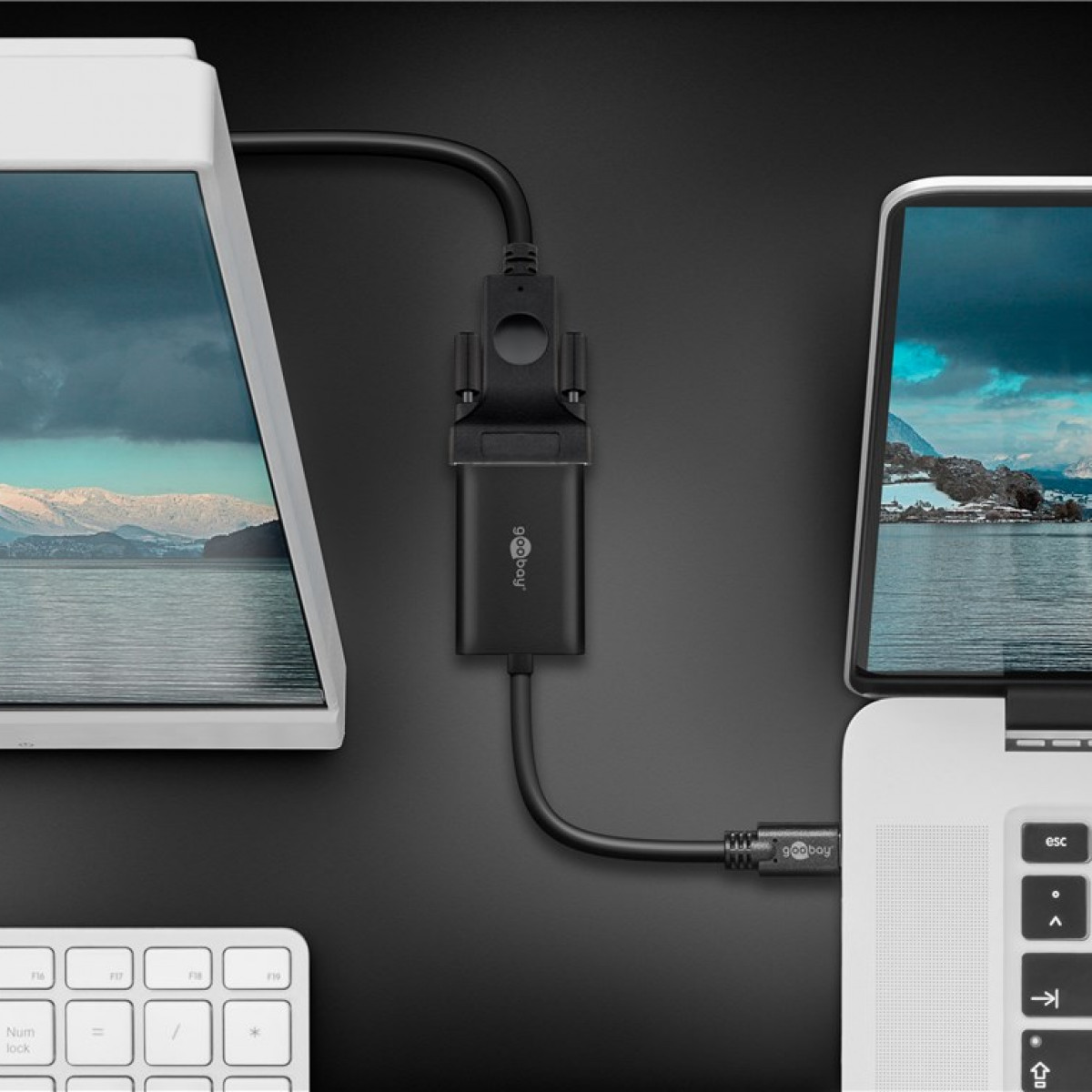 Adapter, der einen Laptop mit einem Monitor verbindet. Der Monitor zeigt eine Landschaft. Schwarzer Hintergrund.